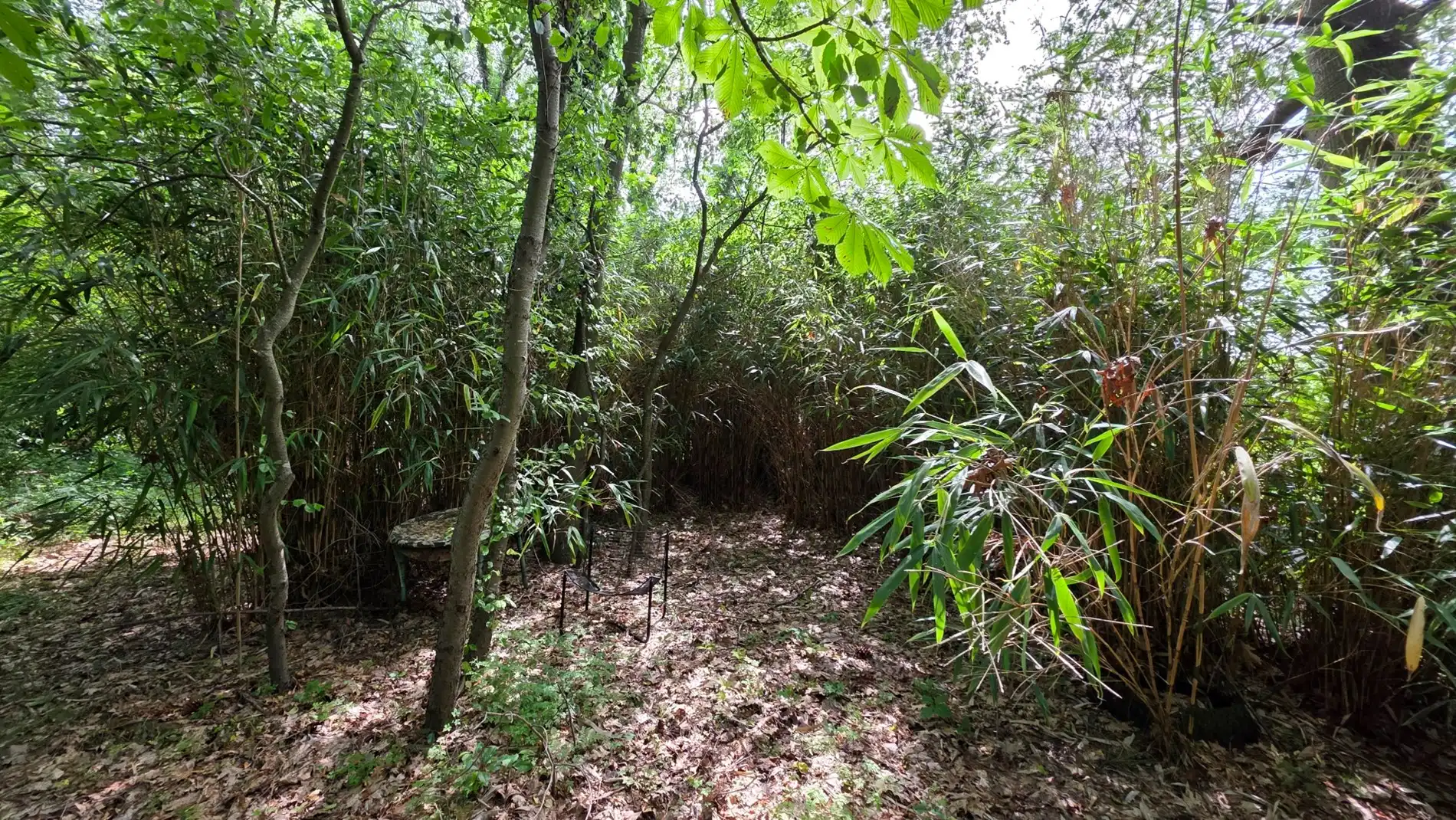 Rustig gelegen perceel bosgrond van 4.056 m² in groene omgeving te Tremelo foto 4