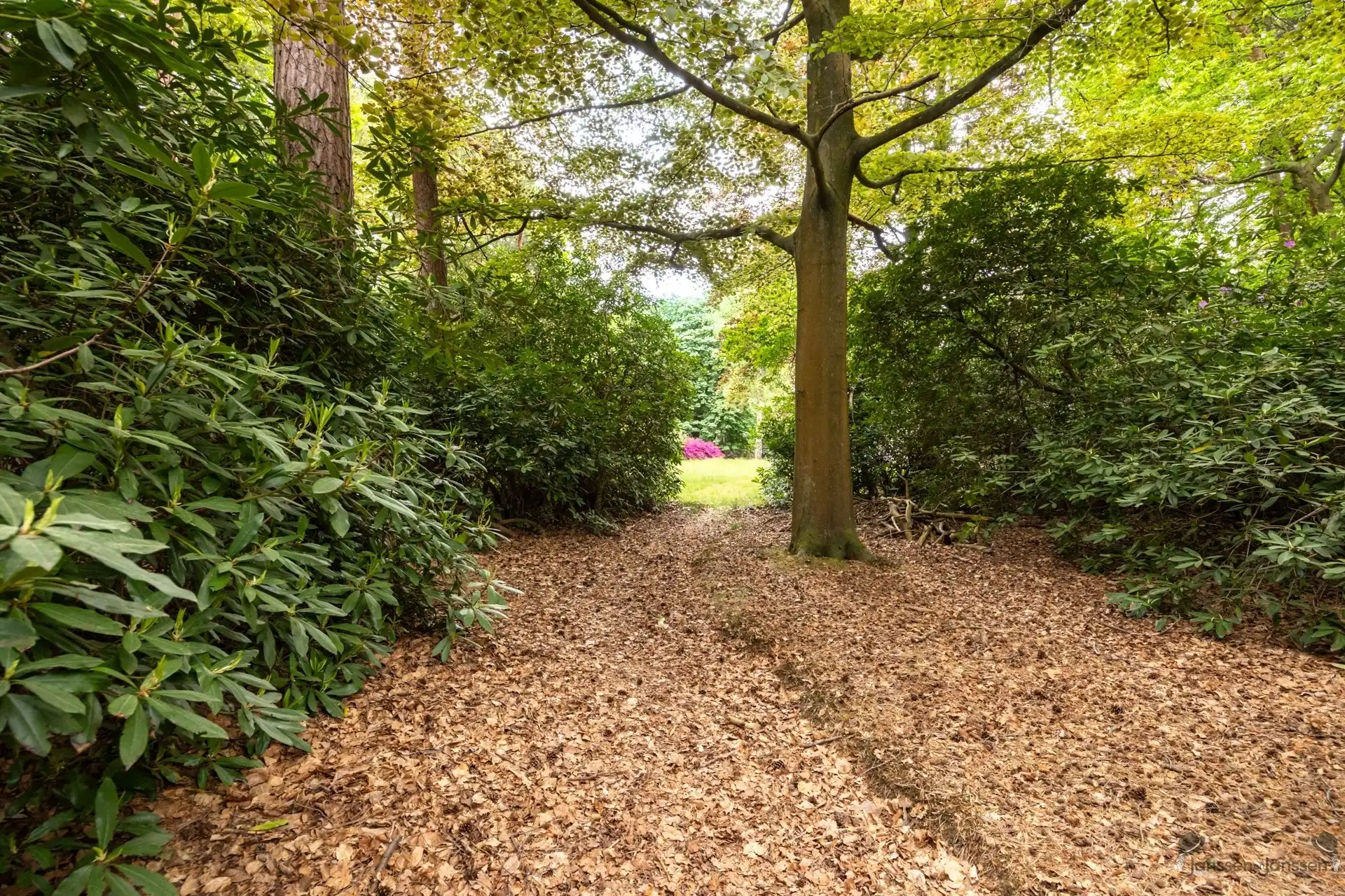 Karaktervolle cottage-villa op een royaal perceel van 8.603 m² in Kapellenbos. foto 40