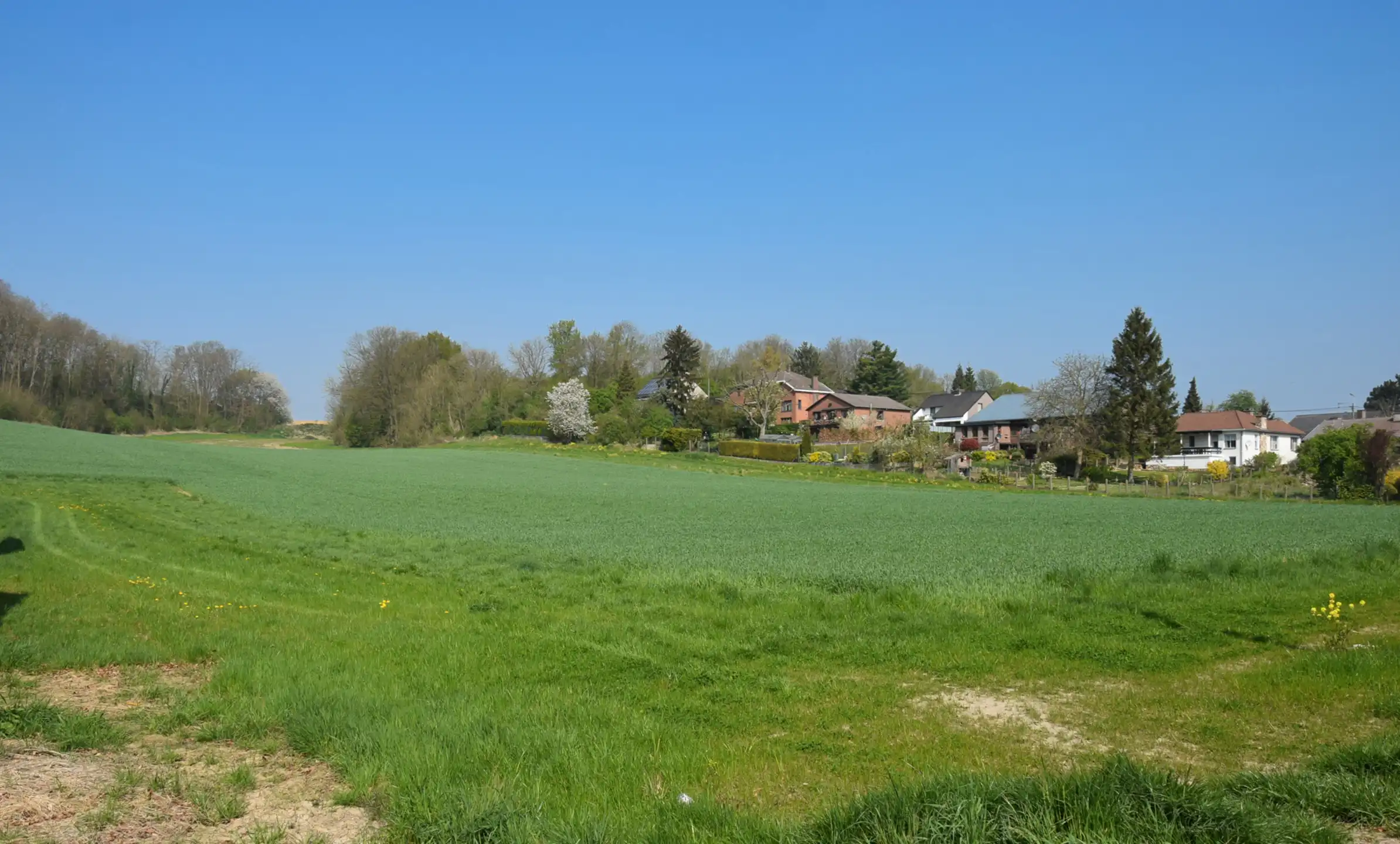 Prachtig gelegen bouwgrond OB op 14a51ca te Emael foto 6