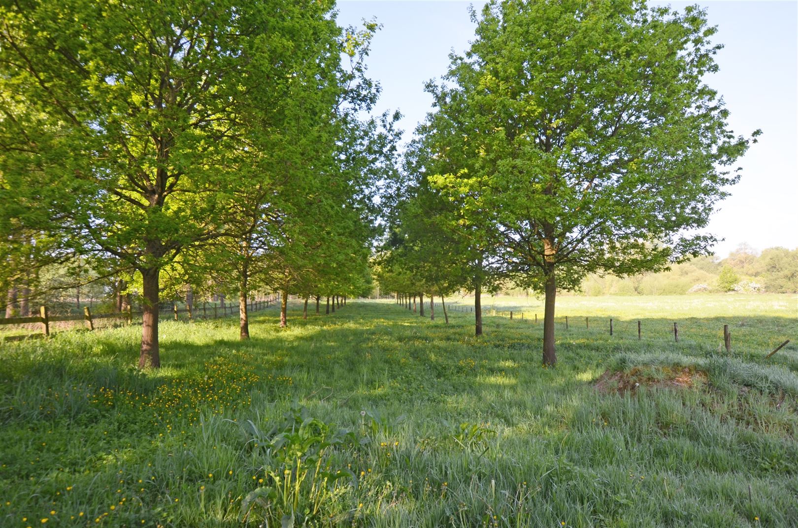 Statige eigendom op een unieke locatie  foto 34