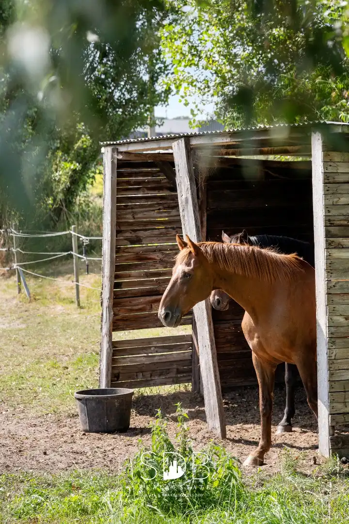 Hedendaagse villa met gezinstuin en graslanden op 7.496m² foto 40