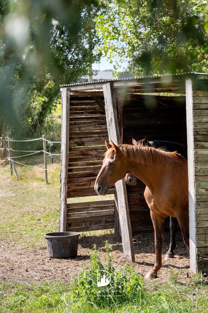 Hedendaagse villa met gezinstuin en graslanden op 7.496m² foto 41