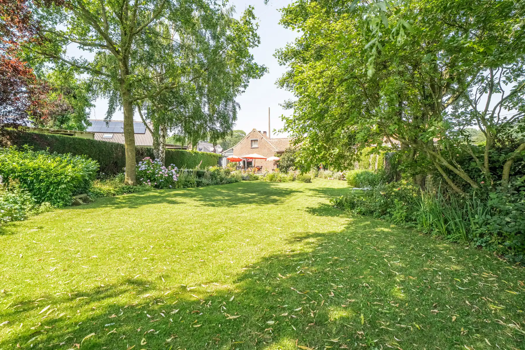 Ruime kangoeroewoning in Gooik  foto 25