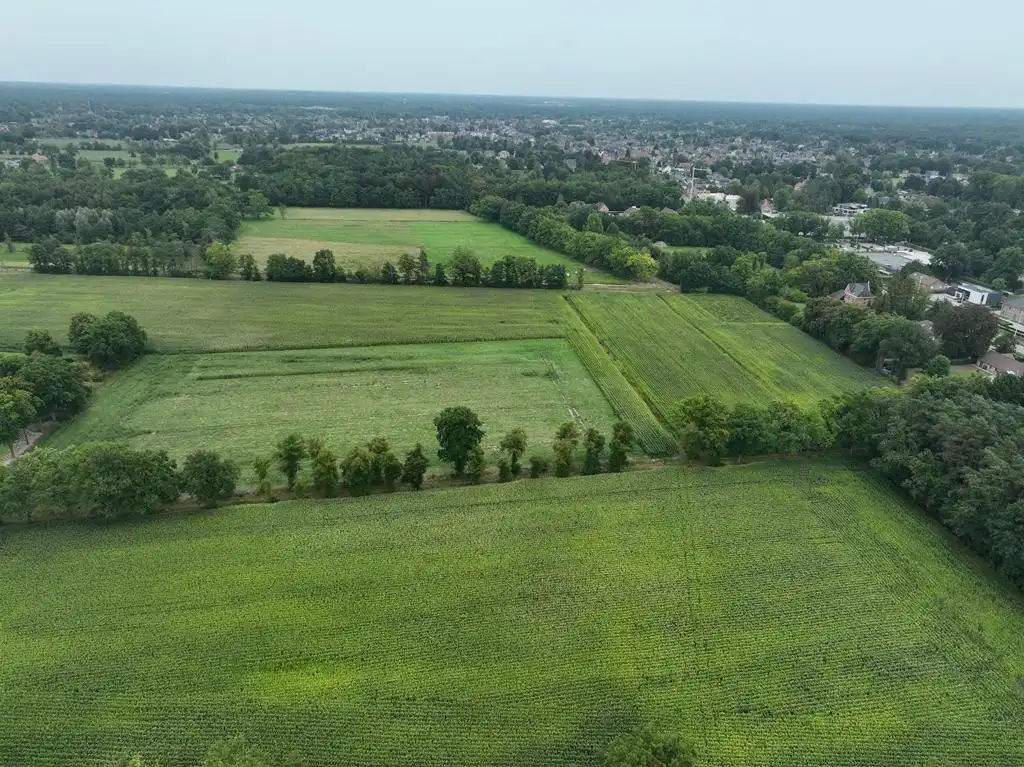 5 hectare landbouwgrond te Zoersel (Sint-Antonius) foto 5