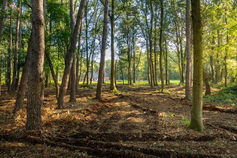 Uniek gelegen renovatieproject op 1,8 ha foto 4