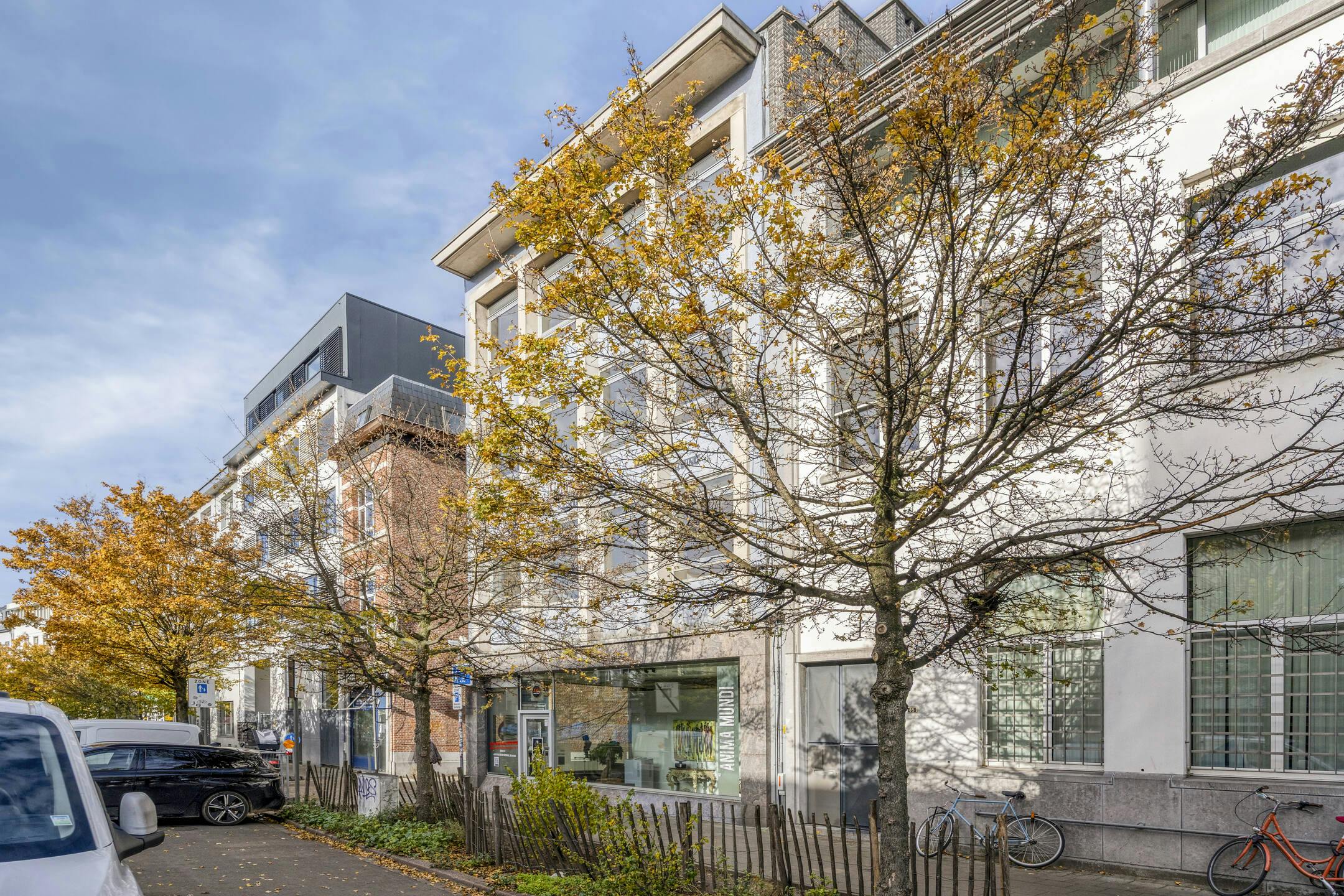 Te renoveren opbrengsteigendom met 3 appartementen en handelspand in Antwerpen foto 61