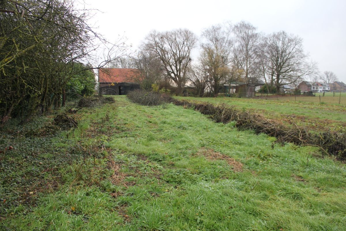 Hoeve gelegen aan de rand van stad Aalst met open ruimte foto 3