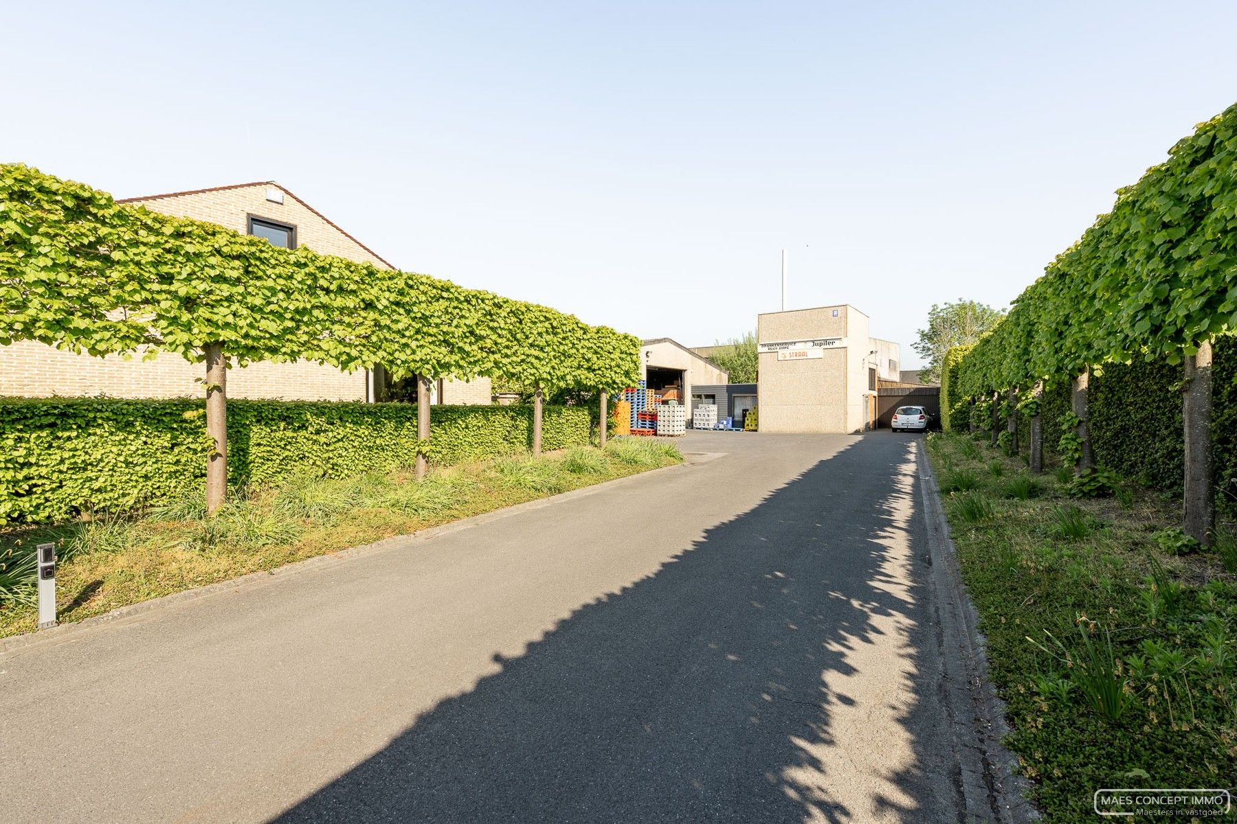 Magazijn te koop met villa, winkel en over te nemen handelsfonds foto 24