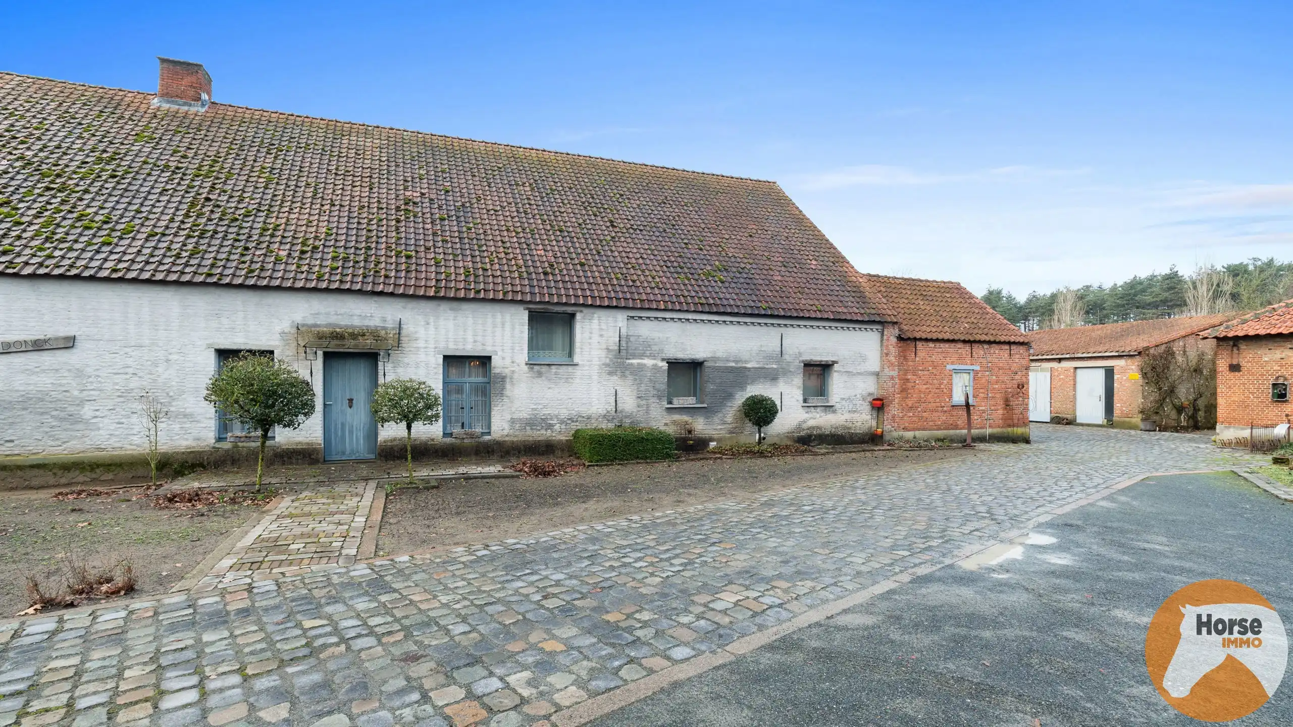GROBBENDONK - Hoeve met prachtige Kempische schuur en weide foto 7