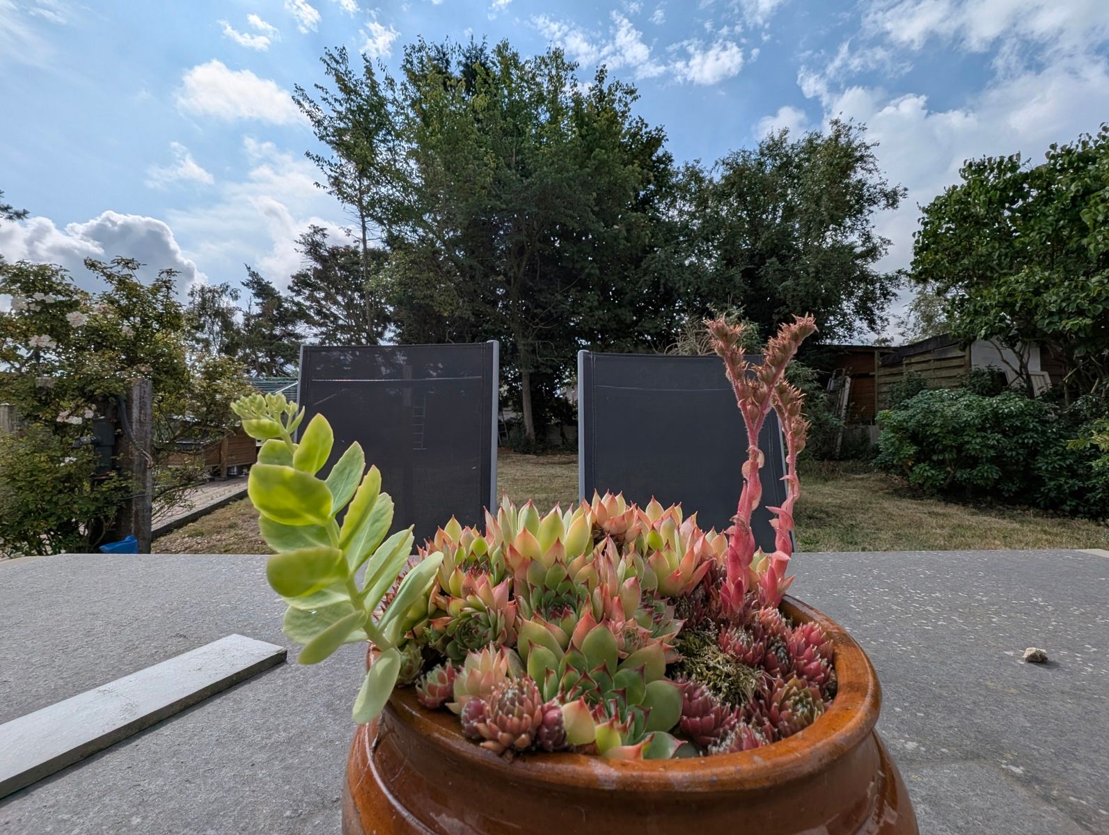 Vrijstaande villaatje met nieuwe keuken & badkamer. (op 519m² grond) foto 29