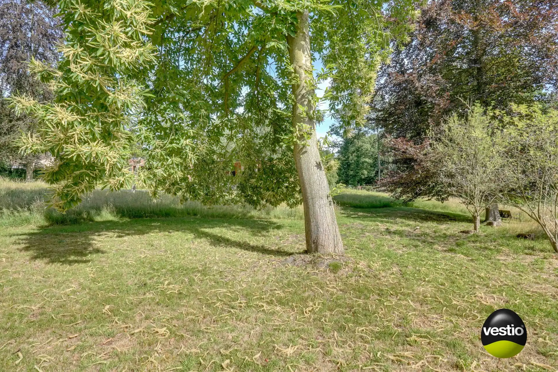 PRACHTIG GELEGEN VAKANTIEWONING OP 56 ARE foto 14