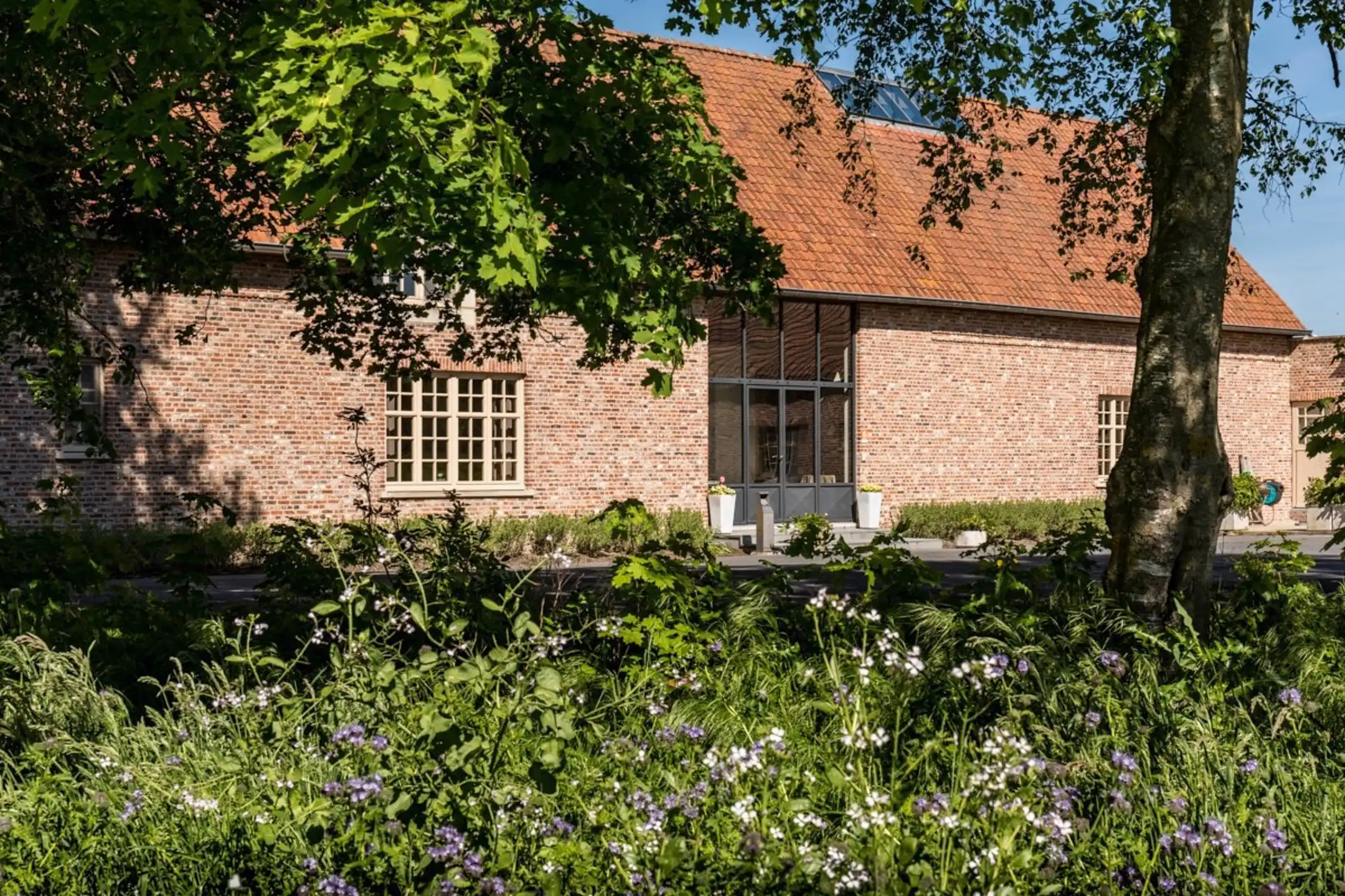 Unieke hoeve met uitzonderlijk potentieel  foto 9