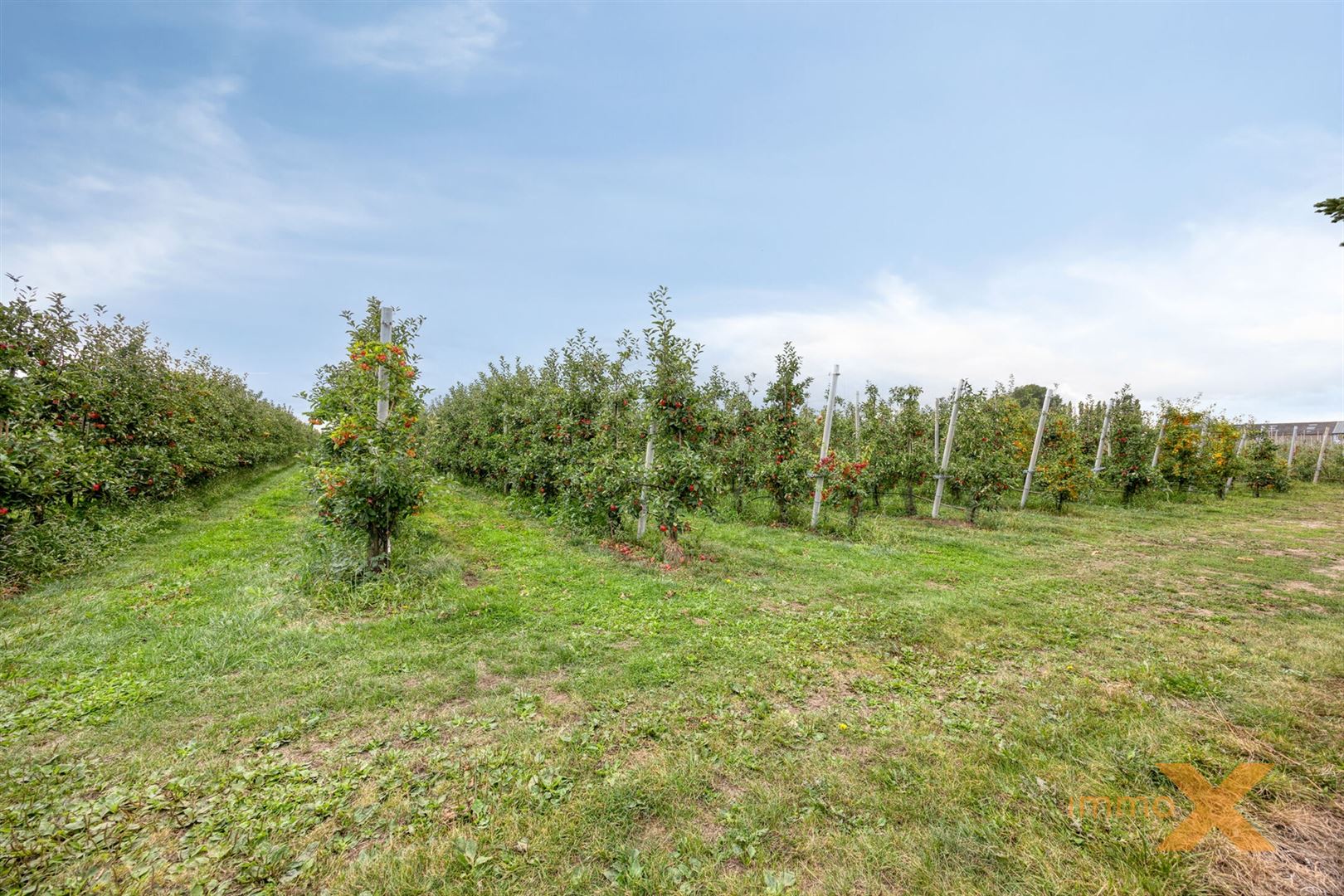 GERENOVEERDE KNUSSE WONING MET LEUKE TUIN foto 25