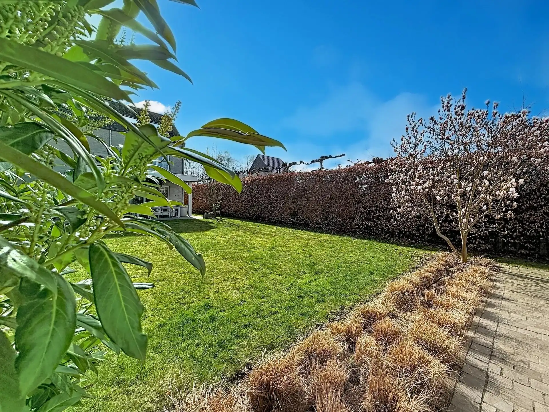 Prachtige luxueus ingerichte woning met 4 slaapkamers en 2 badkamers op een mooi perceel met bijgebouw. foto 44