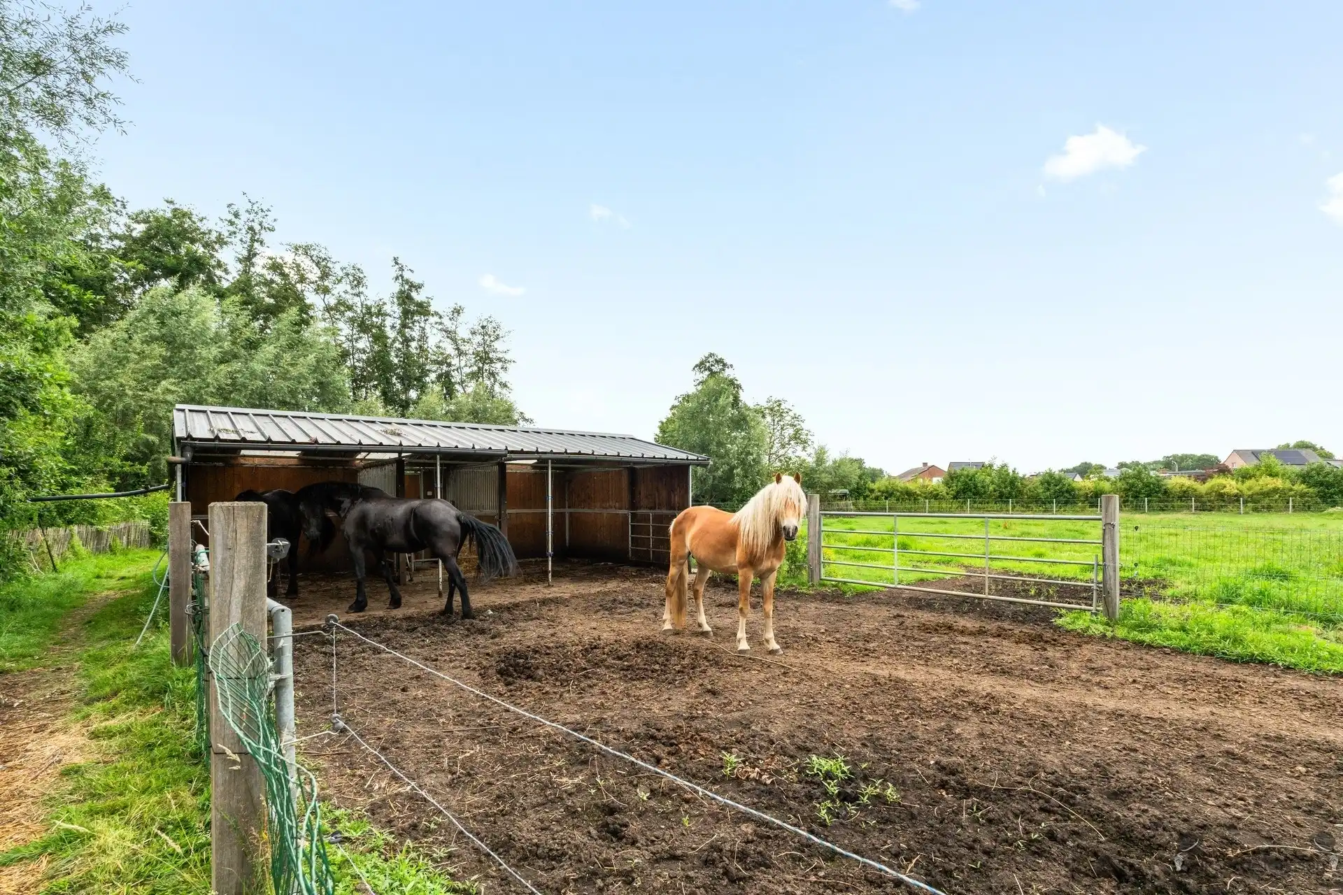 Moderne gezinswoning op een perceel van 6.940 m² met paardenaccommodatie foto 22