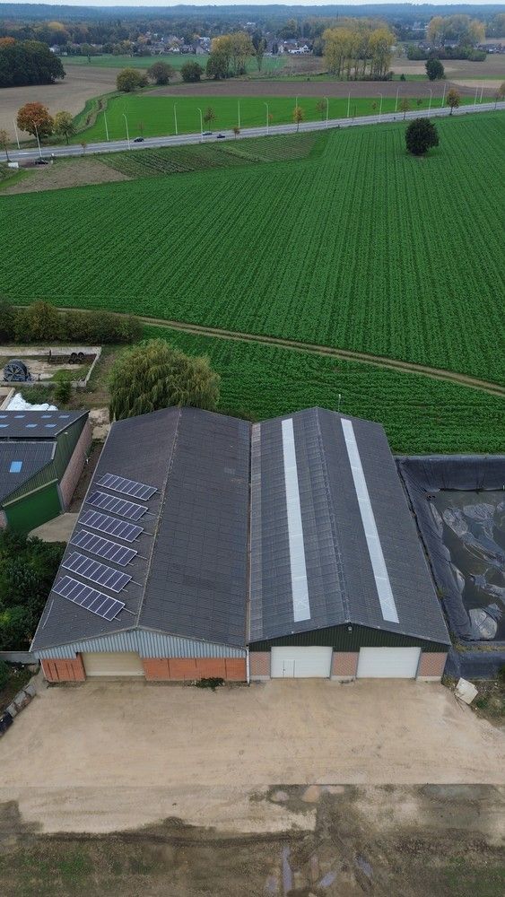 Prachtige boerderij op 1,4 hectare grond in Rekem/Lanaken foto 40