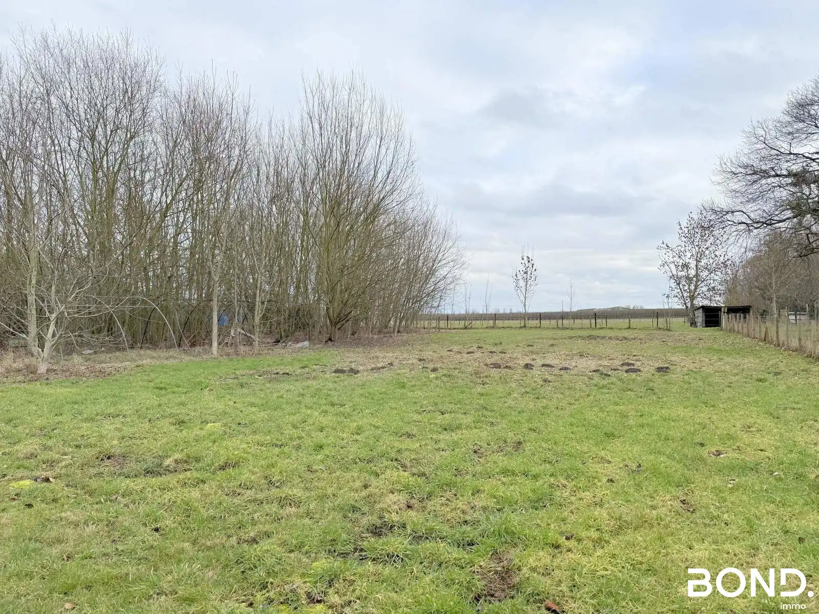 Charmante hoeve foto 3