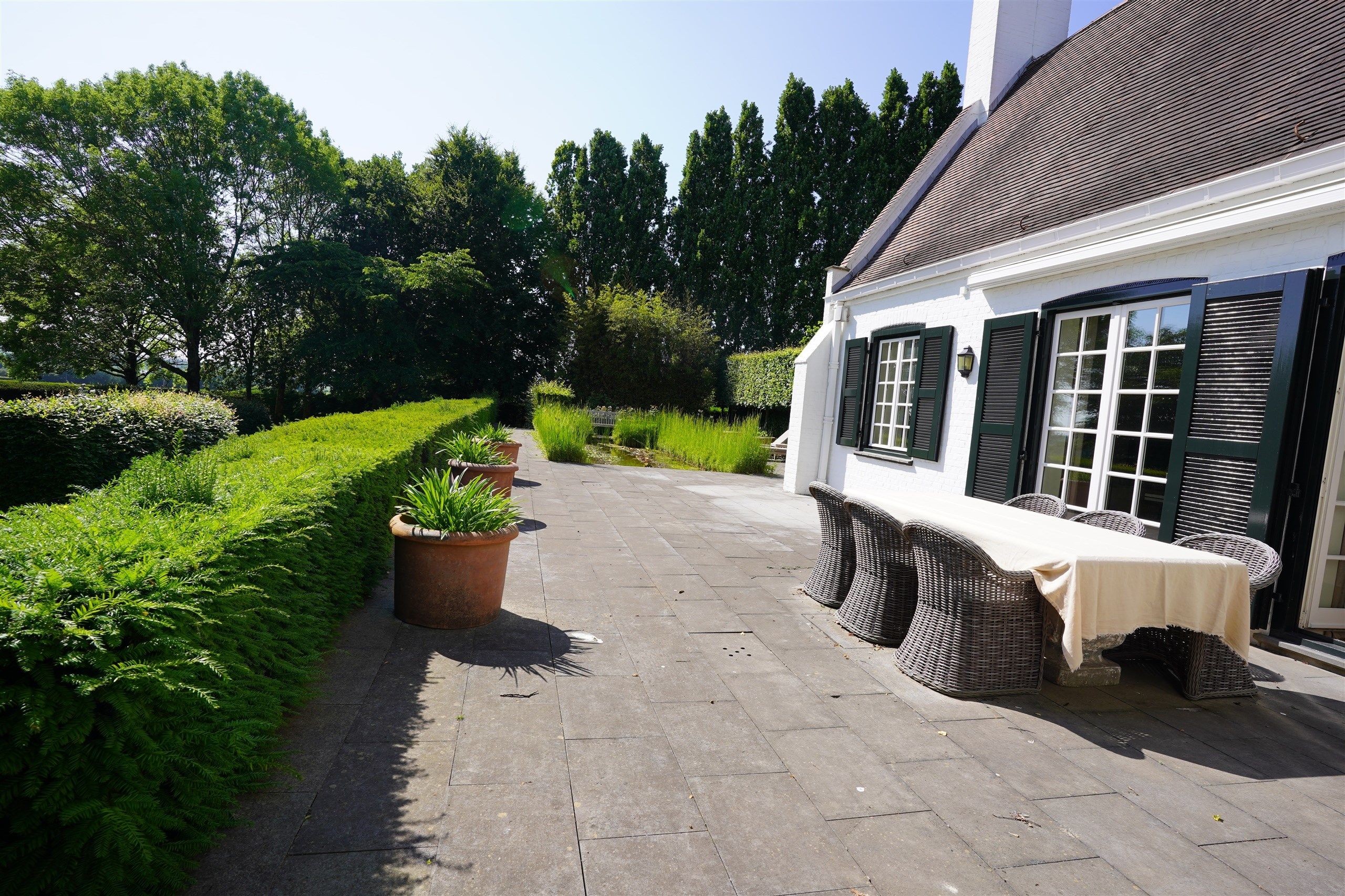 Aan Bellegem bos: Idyllische eigendom op 7.630 m² foto 4