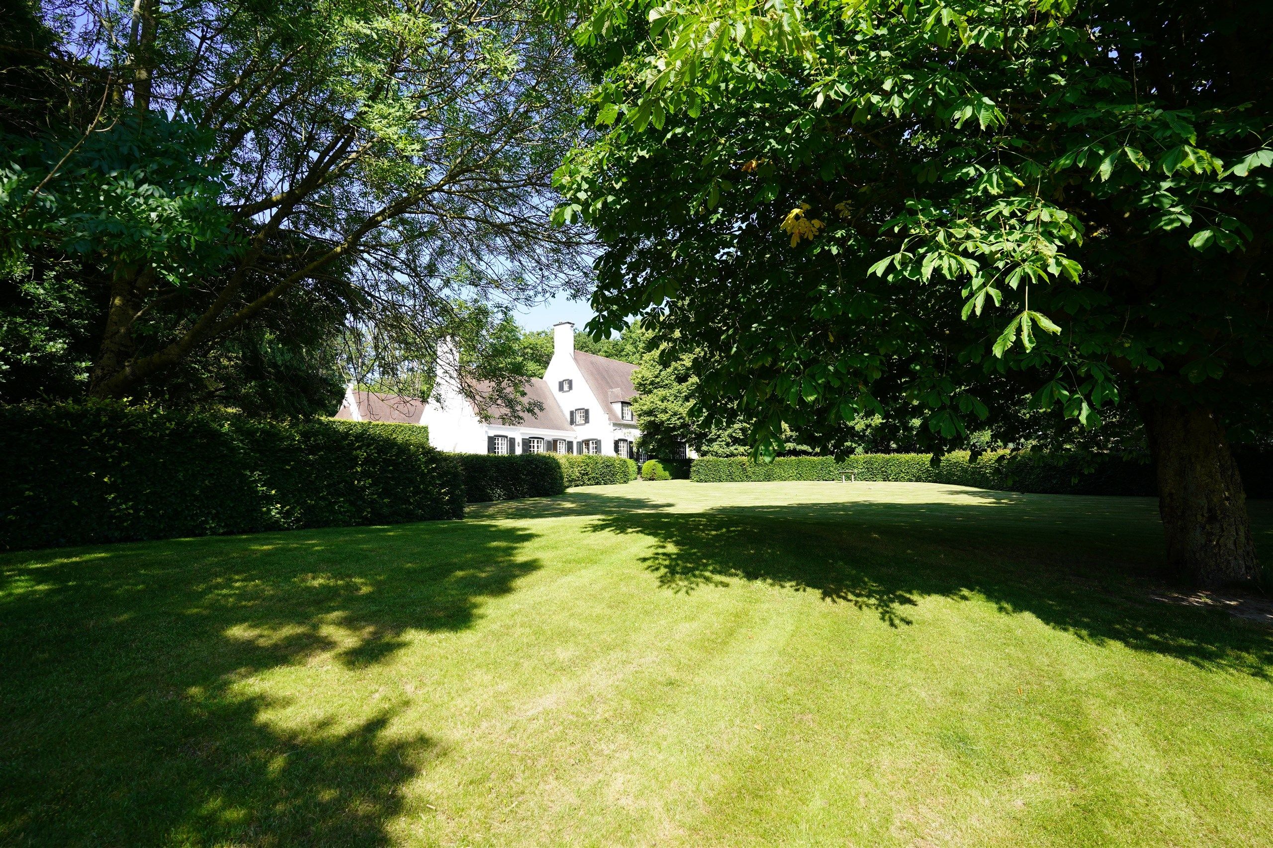 Aan Bellegem bos: Idyllische eigendom op 7.630 m² foto 4