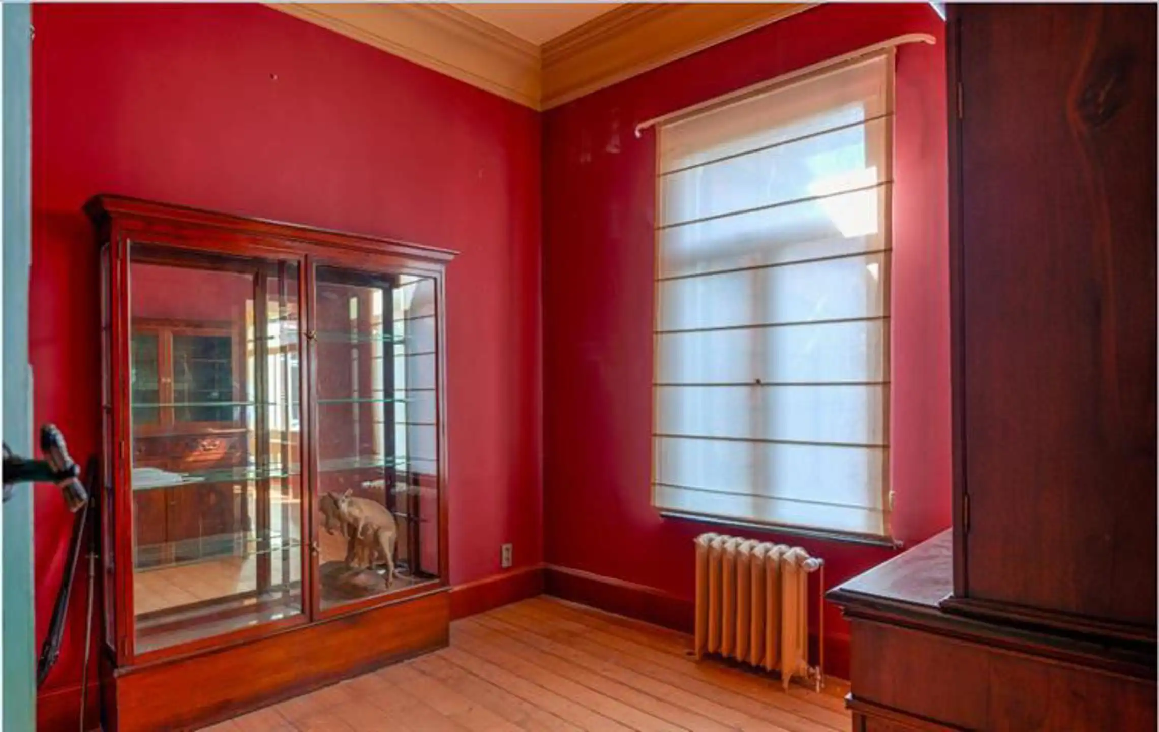 Imposante neoclassicistische herenwoning met 7 slpk., 2 badk. op 59 are 51 ca foto 13