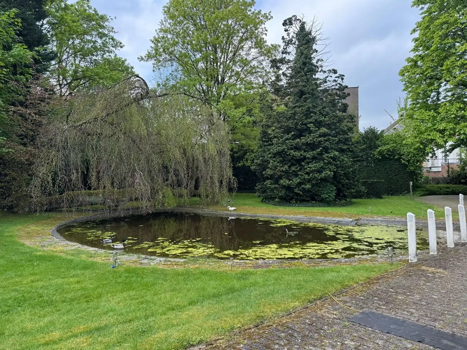Ruim appartement met uitzicht over de Grote Markt foto 21