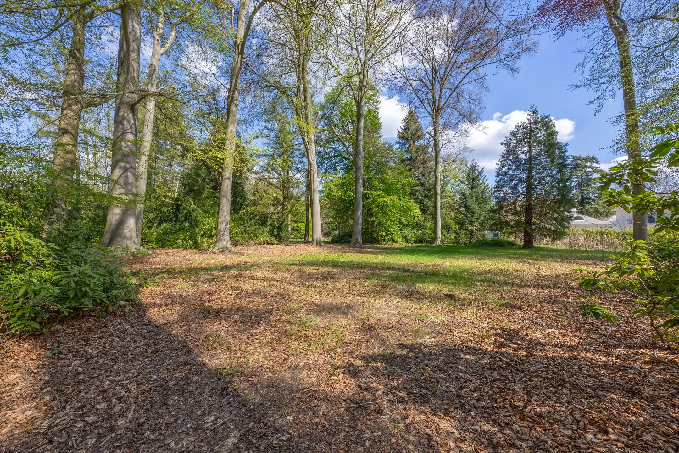 Exceptionele bouwgrond van 12.465 m² in Vriesdonk foto 14