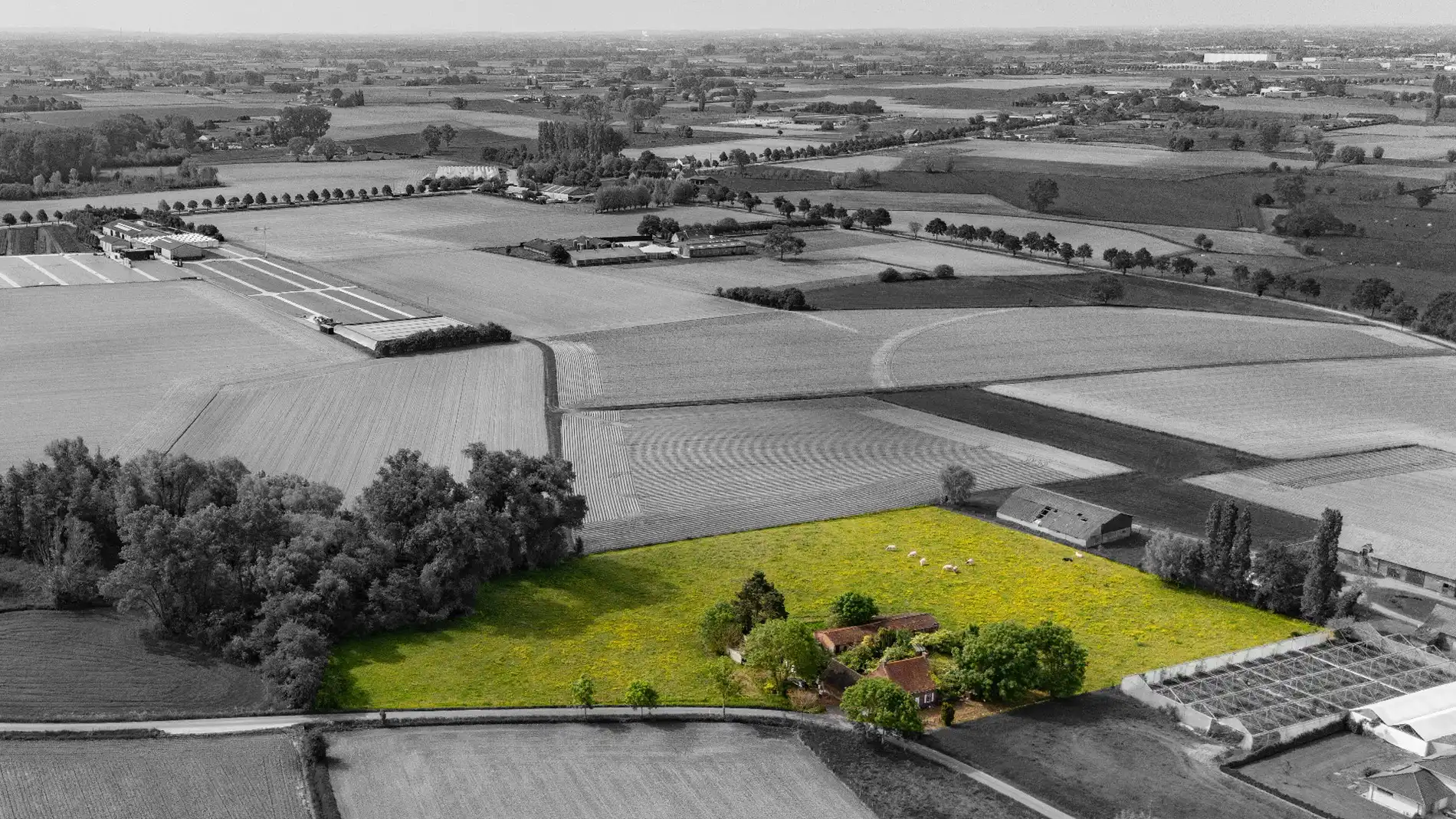 Boerderij te koop Kleine Ruiseledestraat 9 - - 8700 Tielt