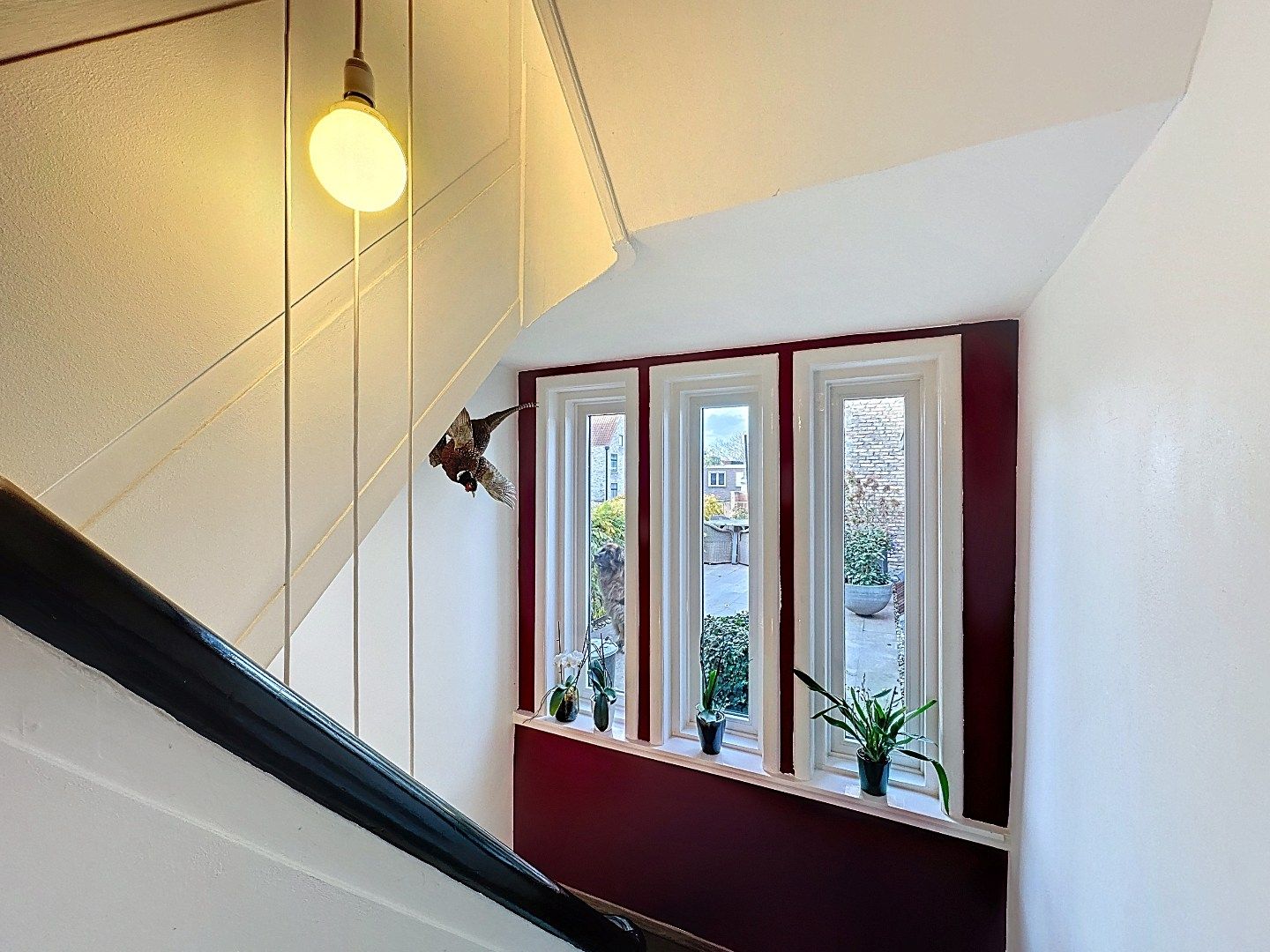 Veelzijdig pand in historisch IJzendijke foto 24