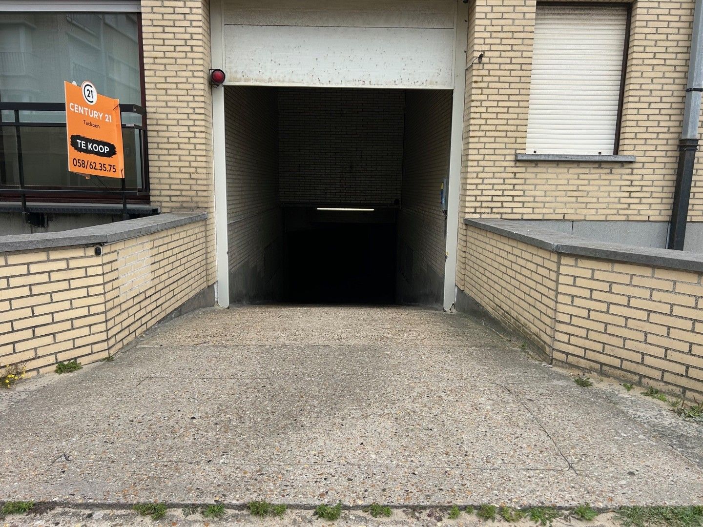 Gouden Boom - G29 foto 2