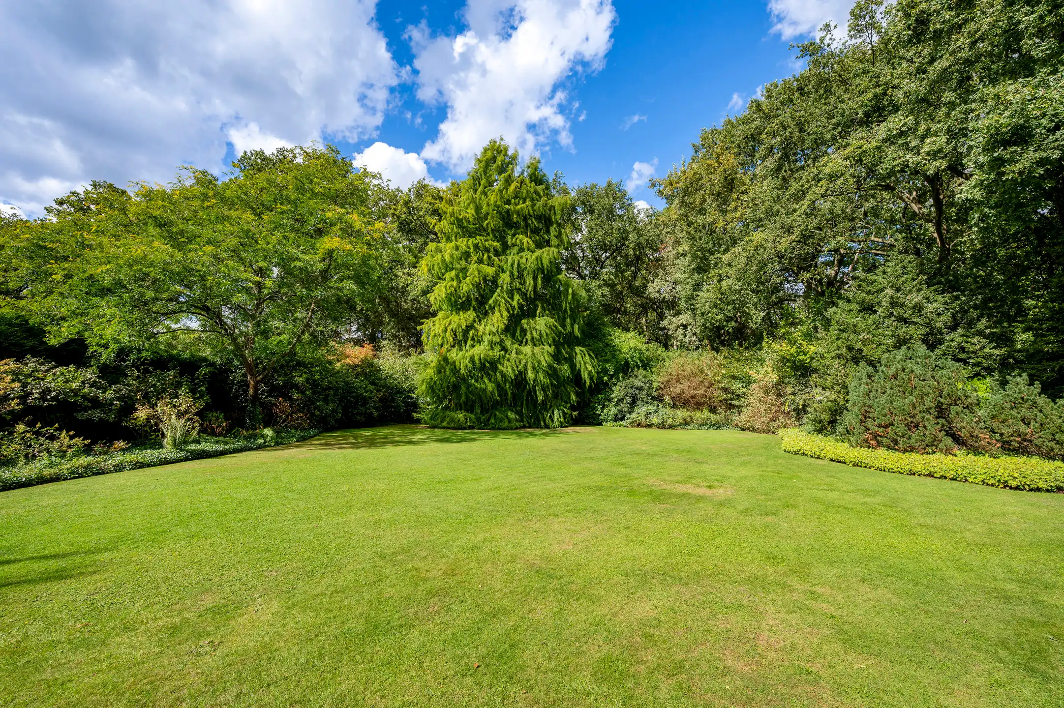 Gelijkvloerse villa op ca. 3.660 m² met parktuin! foto 13