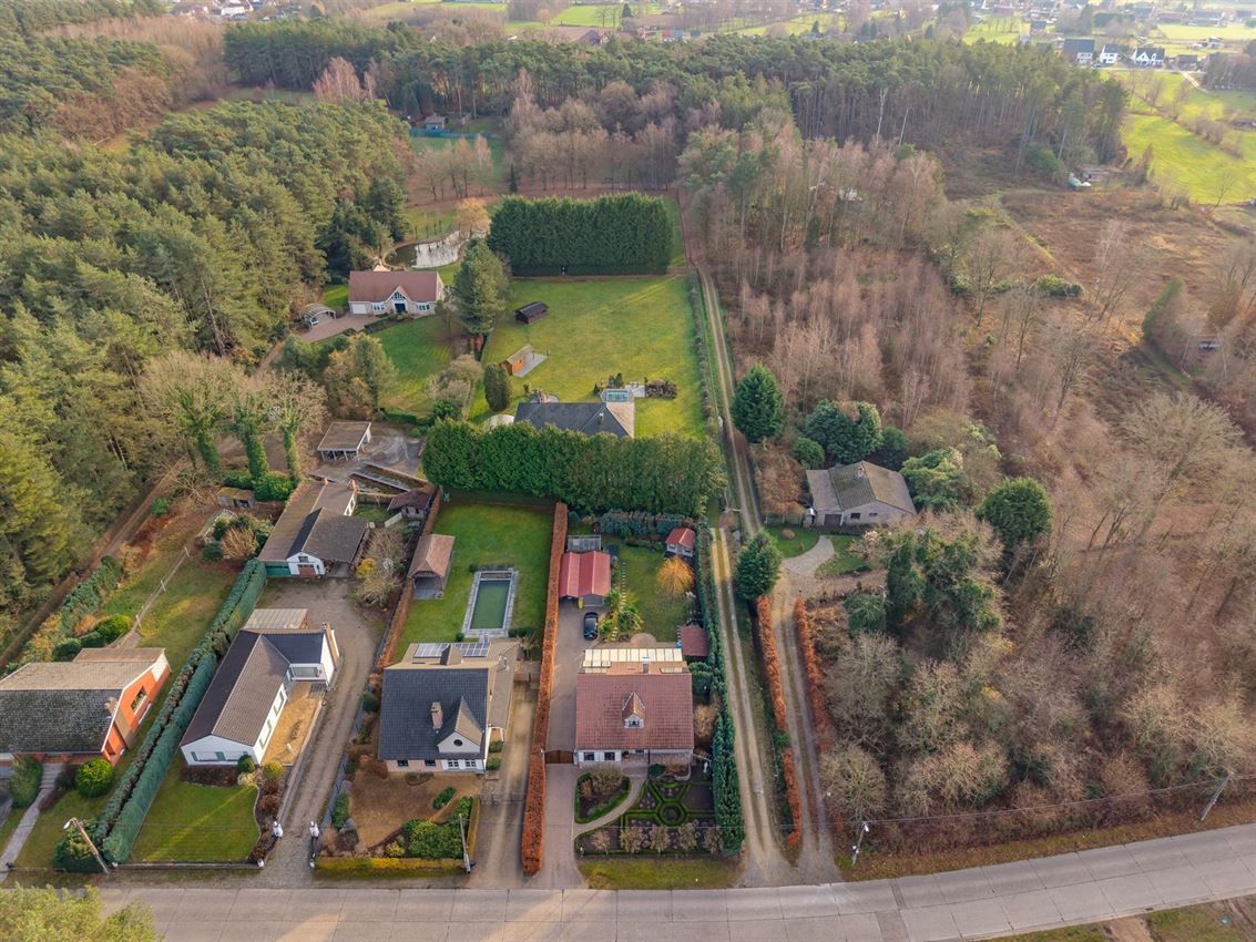 verborgen parel in het groen foto 32