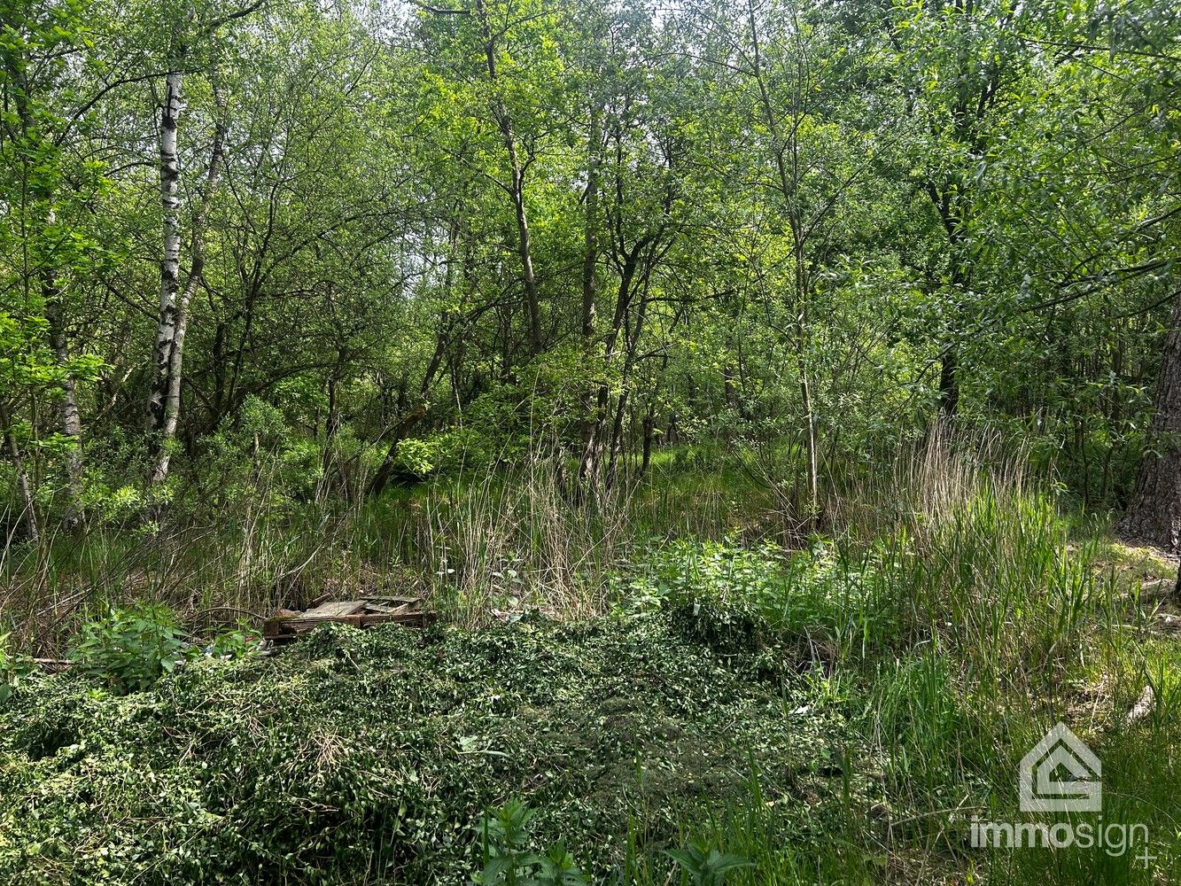 Uniek stukje natuurgebied van 1.470 m² gelegen te Hamont-Achel! foto 16