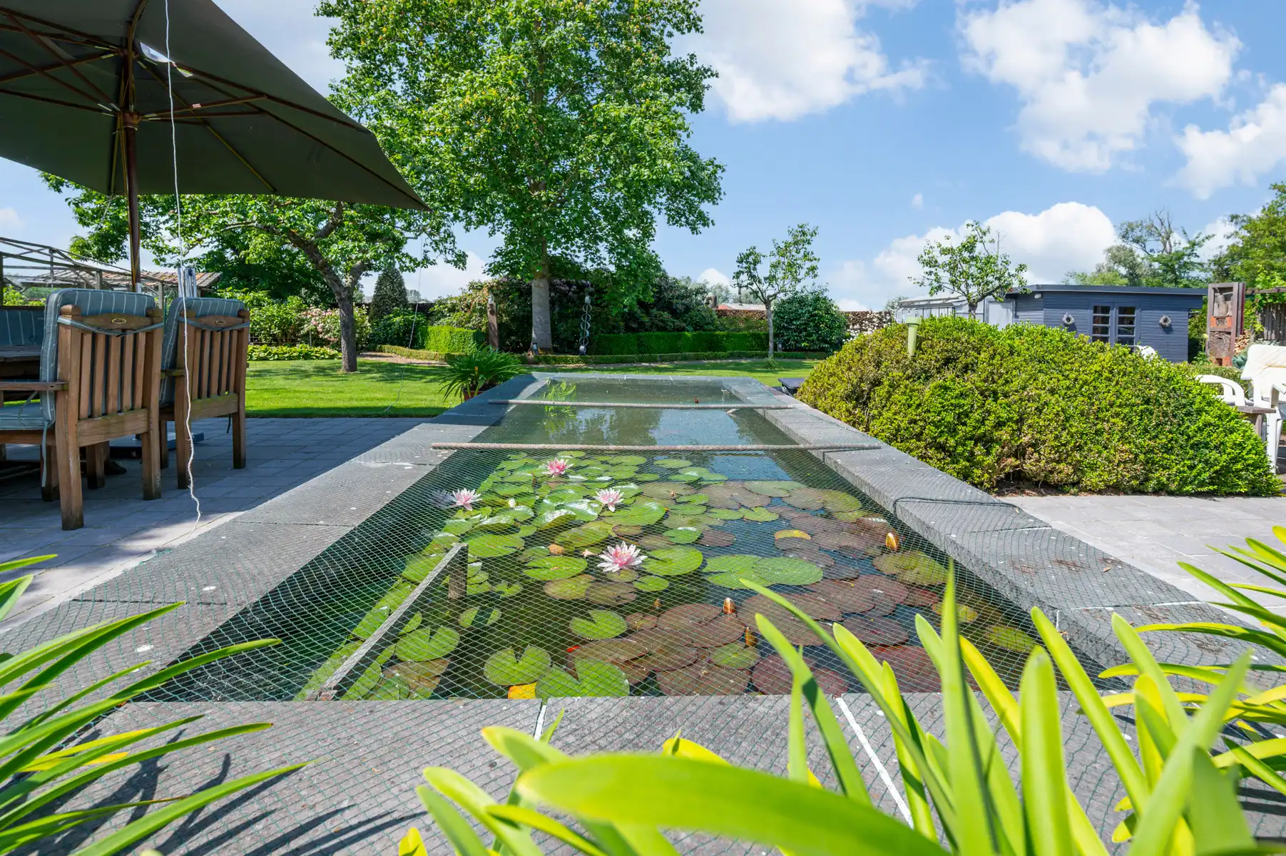 Ruime open bebouwing met prachtige tuin  foto 3
