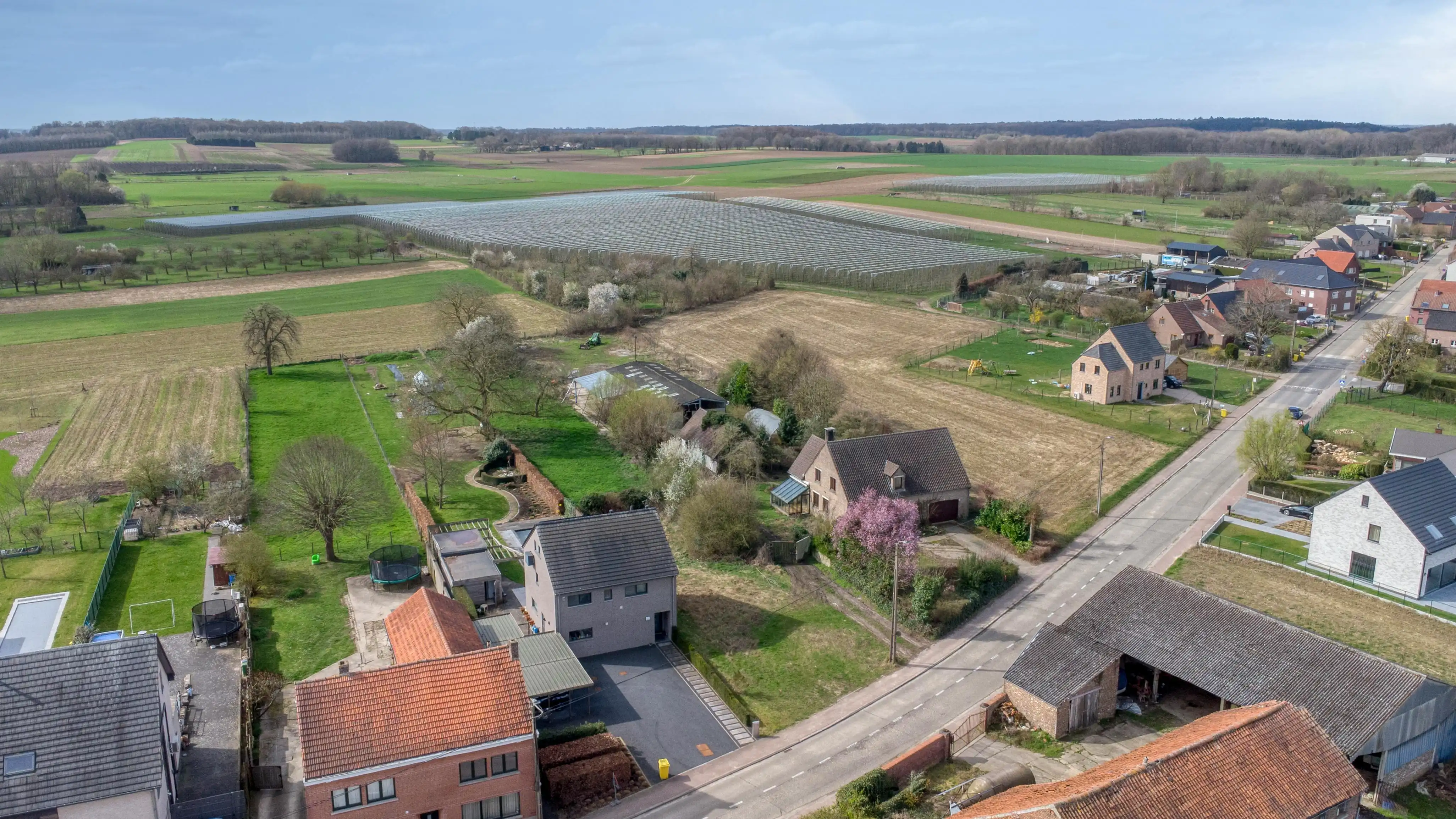 Bouwgrond te koop te Bierbeek foto 9