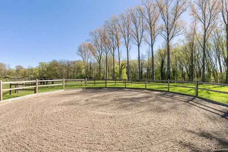 Moderne villa met hippisch complex op 15.856m²  foto 39