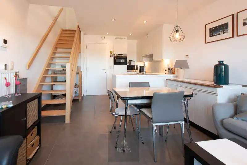 Recent duplex-appartement met één slaapkamer en slaaphoek. foto 16