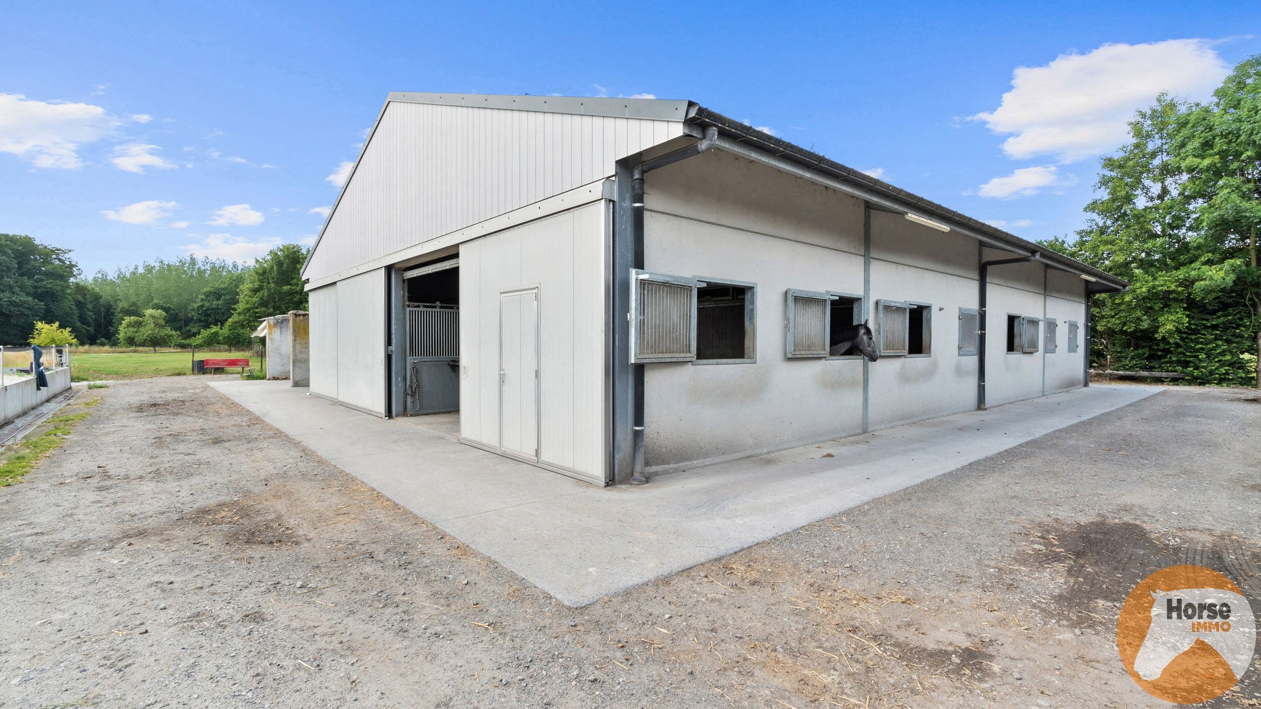 DILBEEK - Unieke paardeninfrastructuur op +-5,6ha foto 12