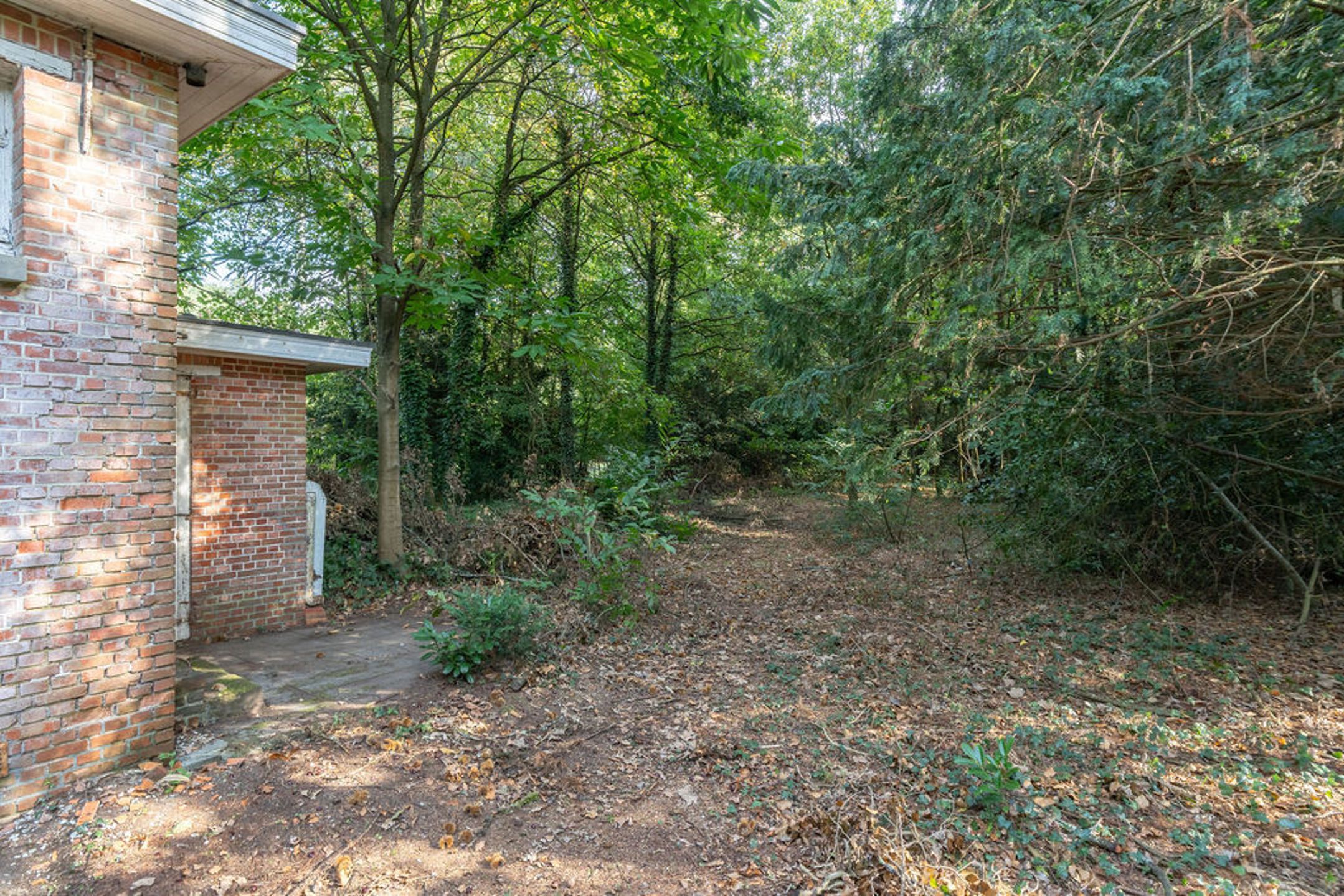 Bouwgrond / grondig te renoveren woning op 6.065m² grond. foto 5