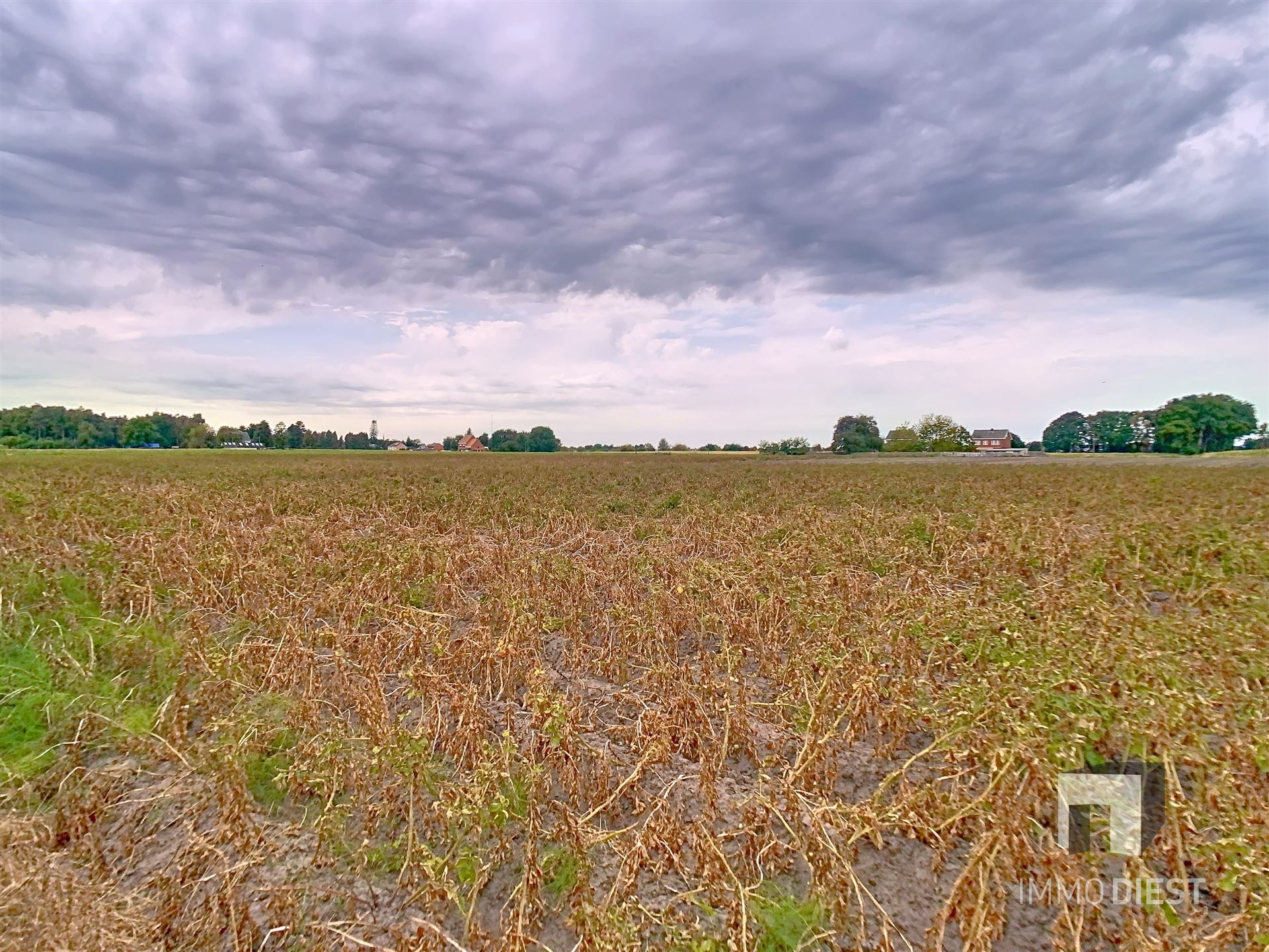 Charmante hoeve met schuren, knappe tuin en achterliggende weilanden op meer dan 3 hectare te Geel. foto 46