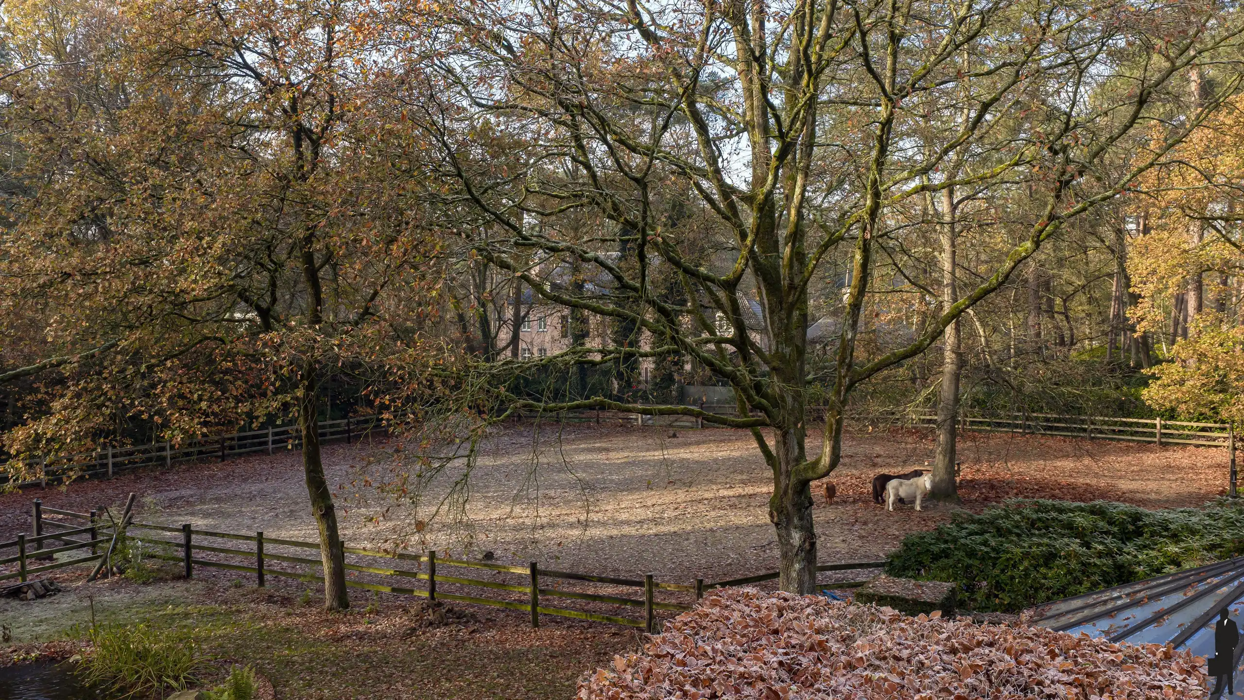 Topgelegen villa met zwembad en paddock!  foto 35