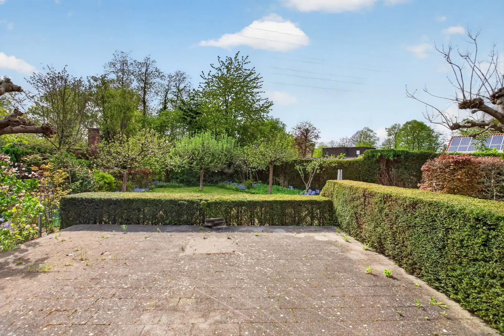 Ruime gelijkvloerse woning met veel potentieel op rustige ligging in Mol foto 41