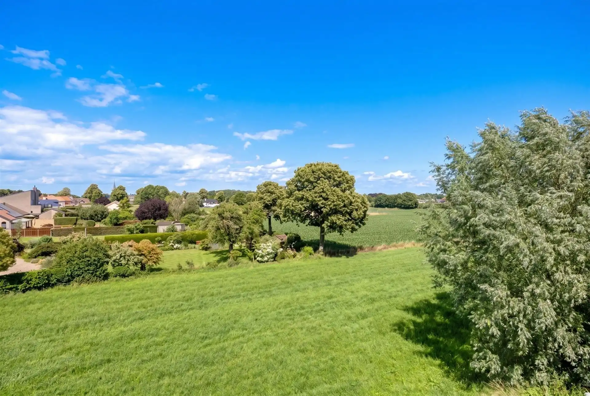 Instapklare villa met zwembad. Landelijke ligging in Leut. foto 5