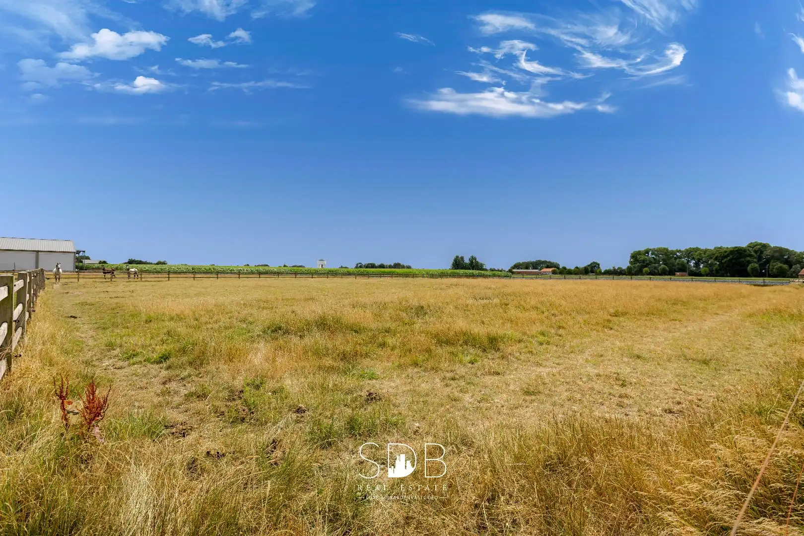 Landelijke villa met bijgebouwen en graslanden op 23.740m² foto 39