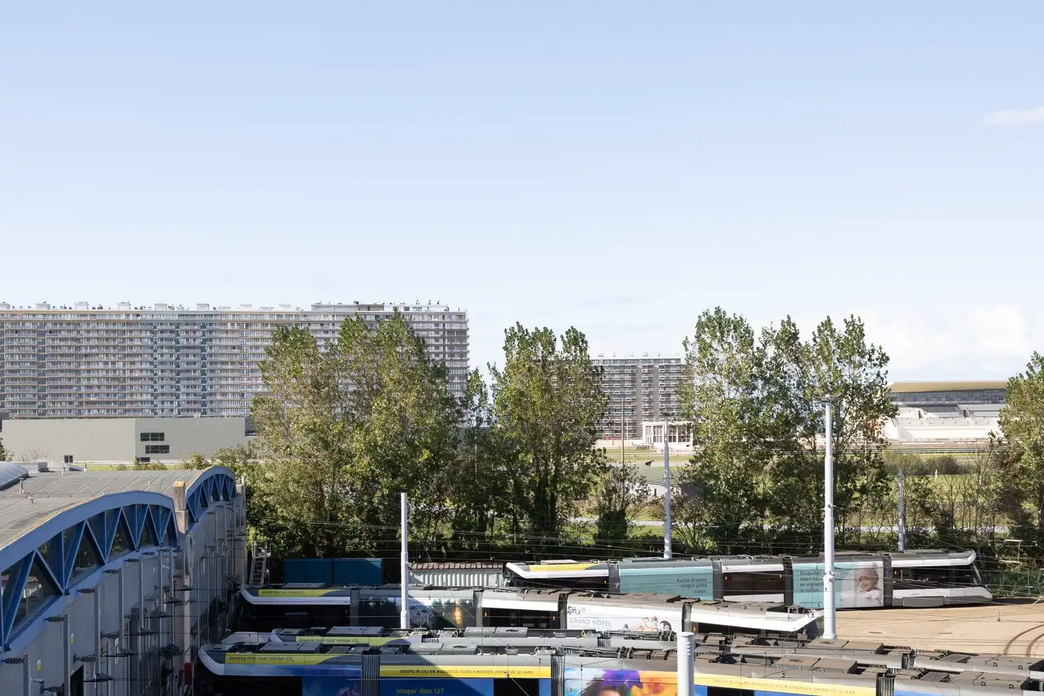 RESIDENTIE PIGEON foto 12