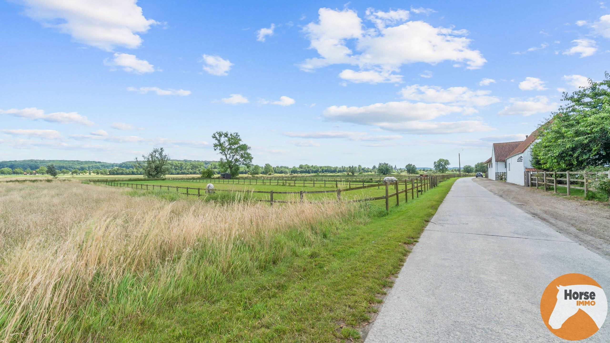 WORTEGEM-PETEGEM - Woning met bijgebouw, paardenaccomodatie foto 63