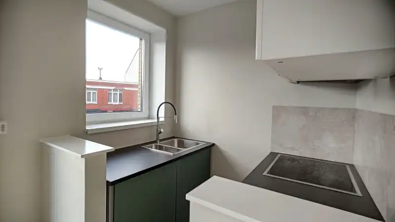 Mooi gerenoveerd éénslaapkamer appartement foto 4