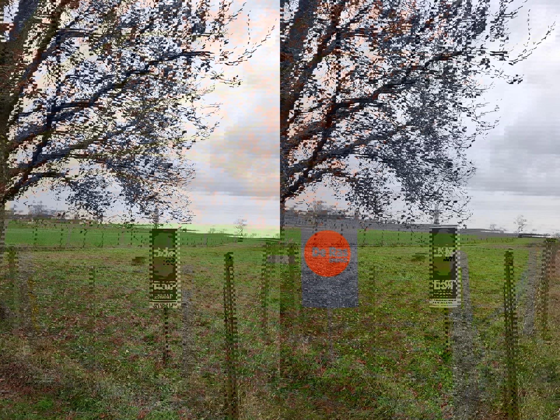 Grond te koop Mussenzele 0 - 9450 Haaltert