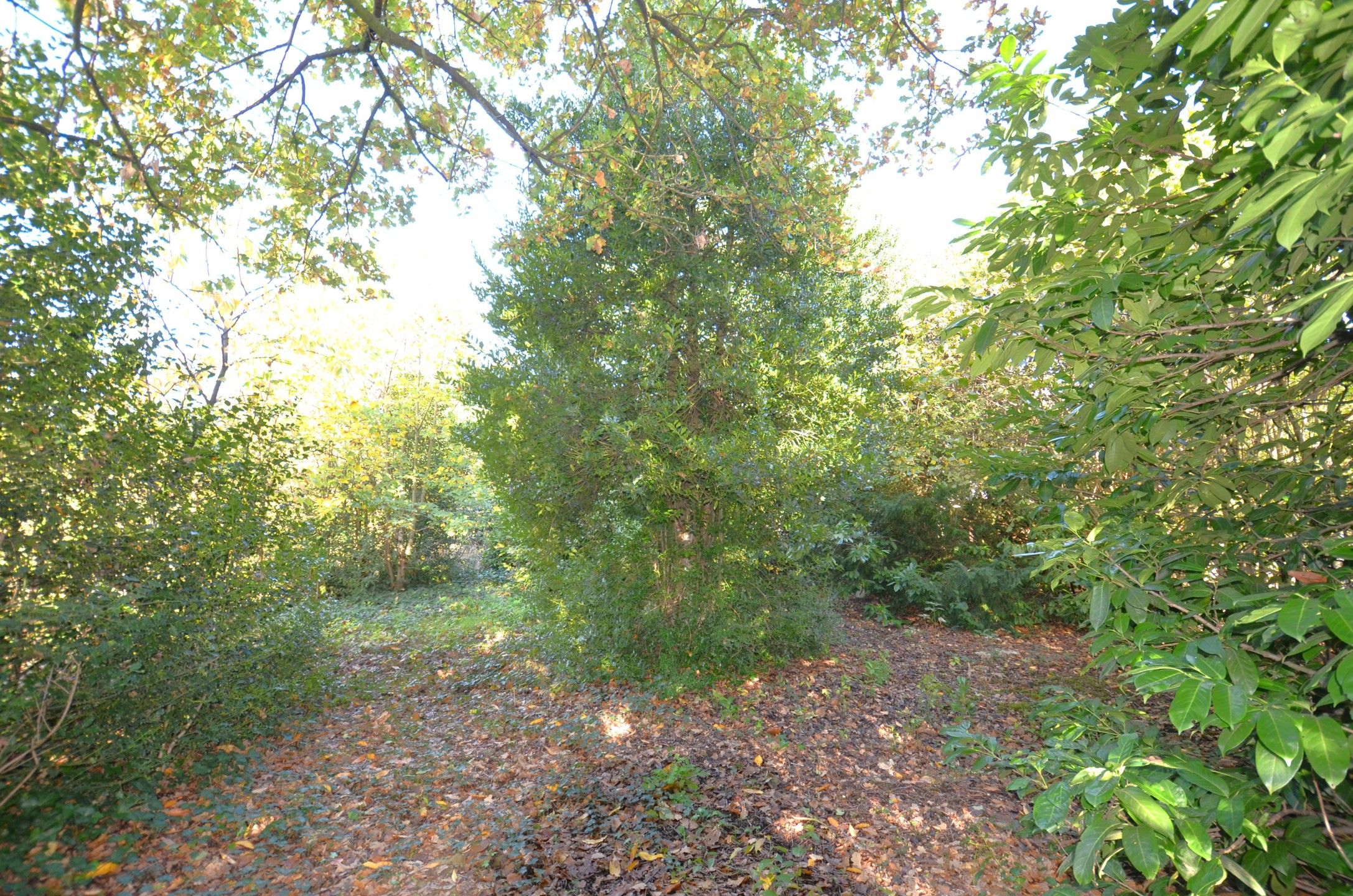 Af te werken woning met 2 slaapkamers foto 21