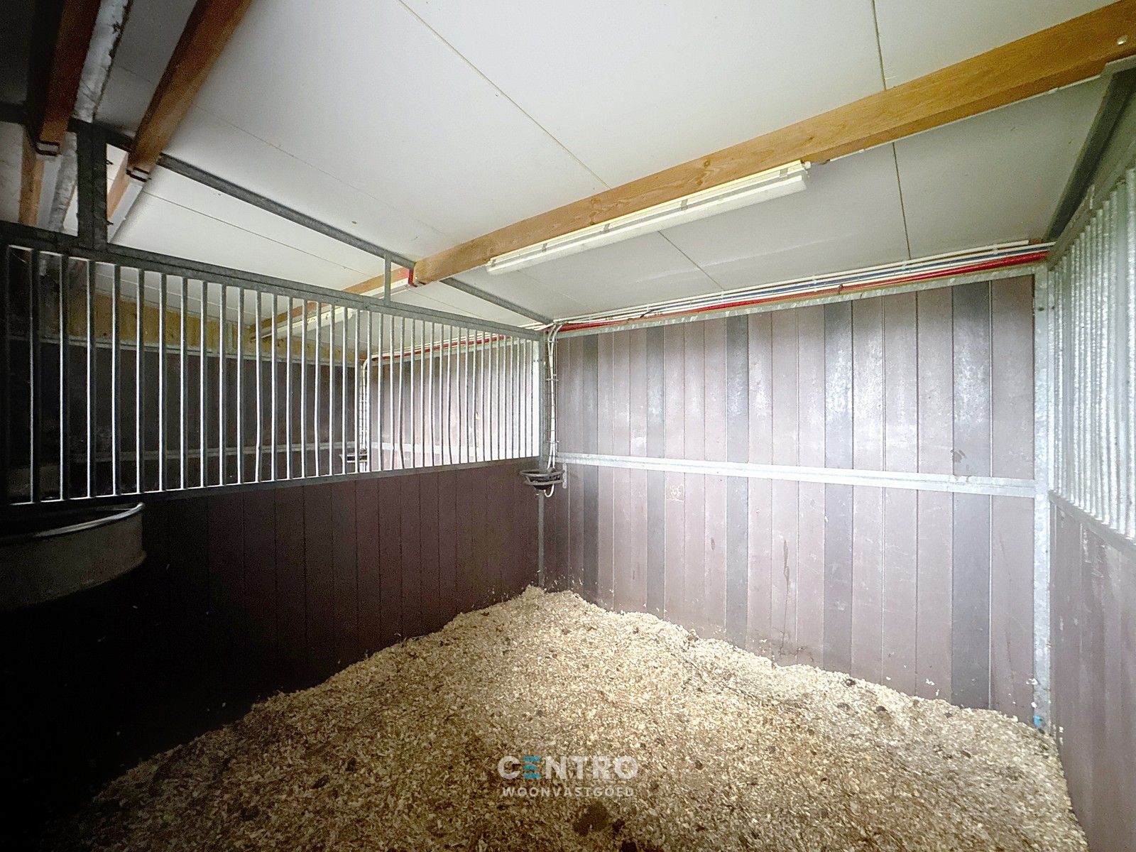 Instapklare, LANDELIJKE WONING met 4 ruime slpkms, 2 badkms, ruime garage, stalling (3 paarden) en gedraineerde buitenpiste te Hooglede (Gits). foto 21