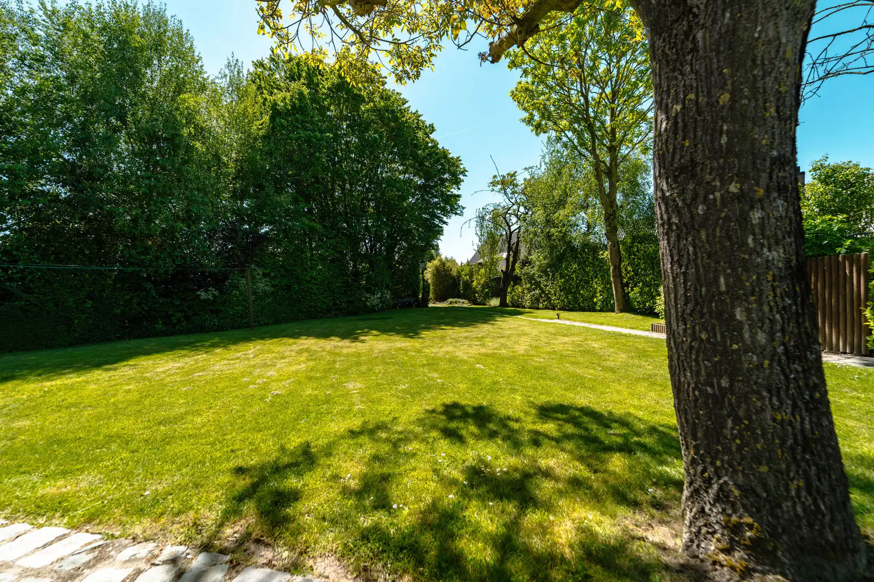 Exclusieve eigendom op ±3.300 m²: wonen op een privé-eiland foto 22